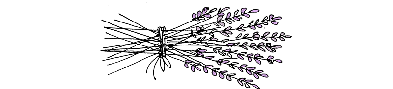 Lavender Divider2.png