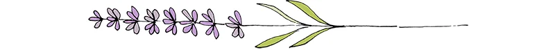 Lavender Divider2.jpg