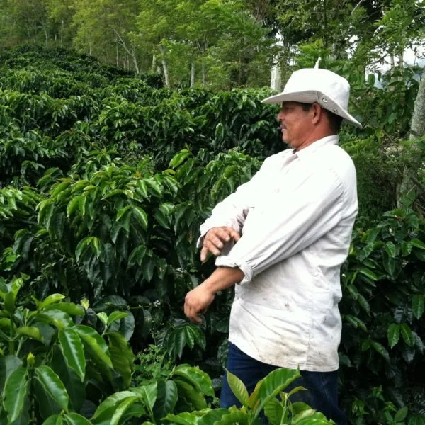 Colombia Santa Barbara