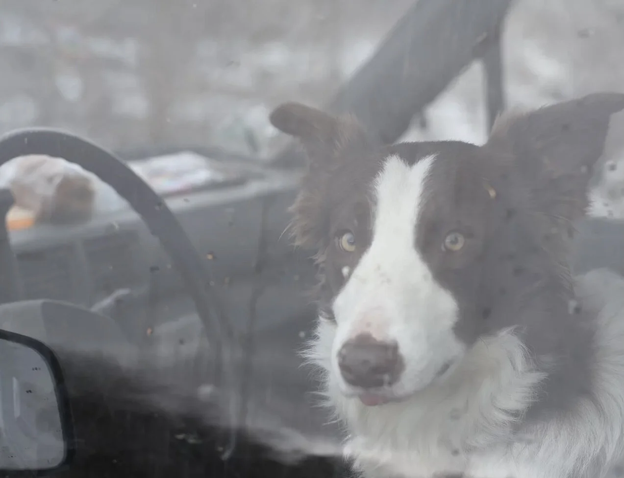 ZPC on Martha's Vineyard