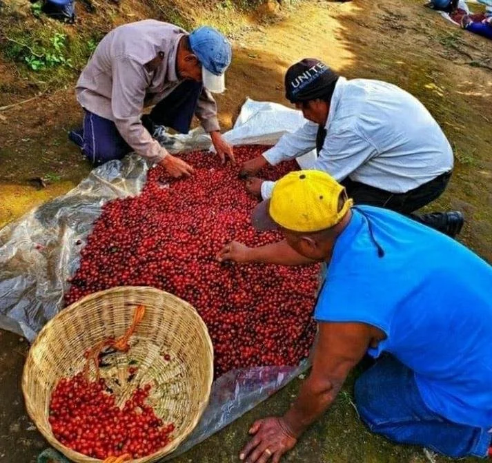 El Salvador San Miguel