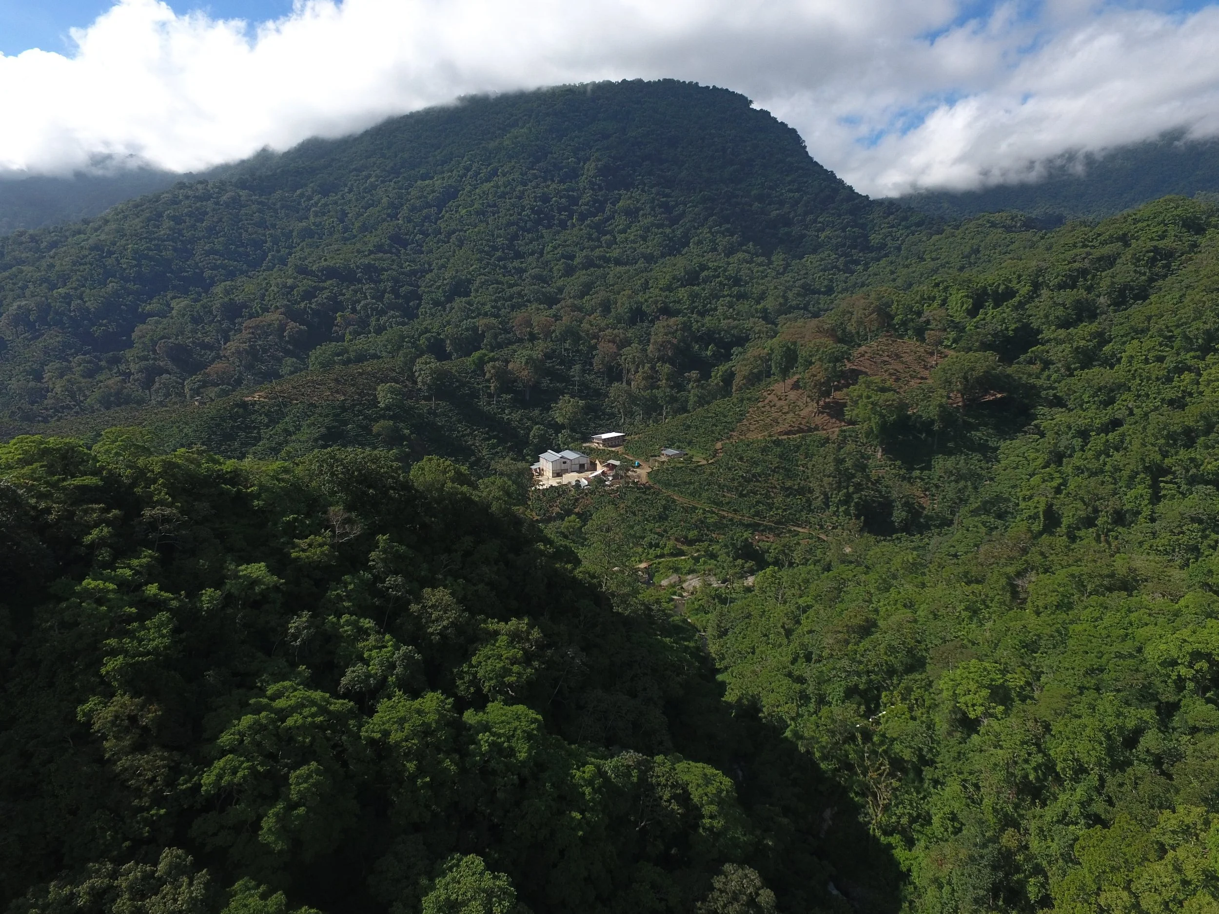 Mexico Chiapas Finca Nuevo Mexico Bayunka