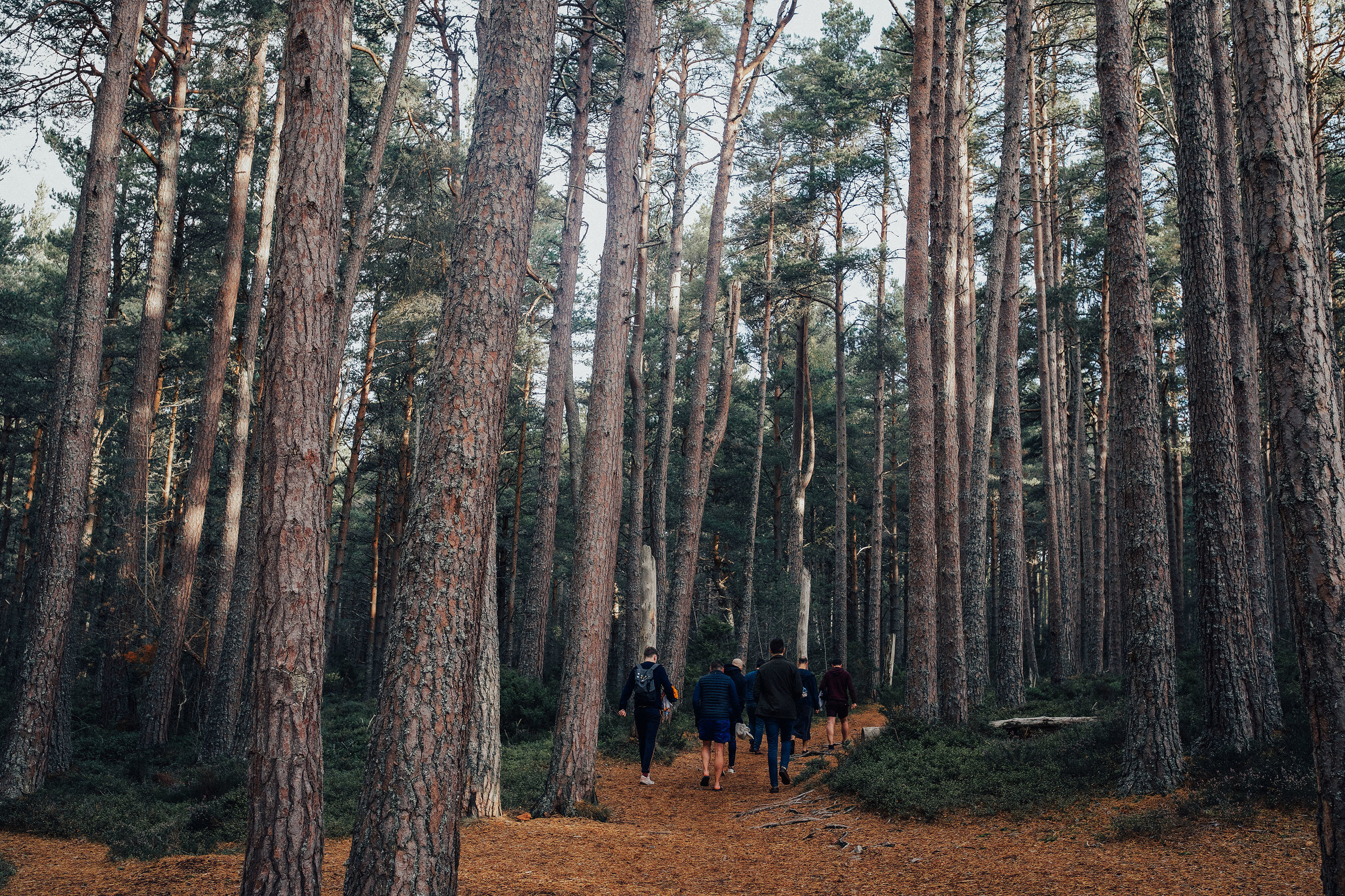 LOCH_GARTEN_DIY_WEDDING_PJ_PHILLIPS_PHOTOGRAPHY_11.jpg