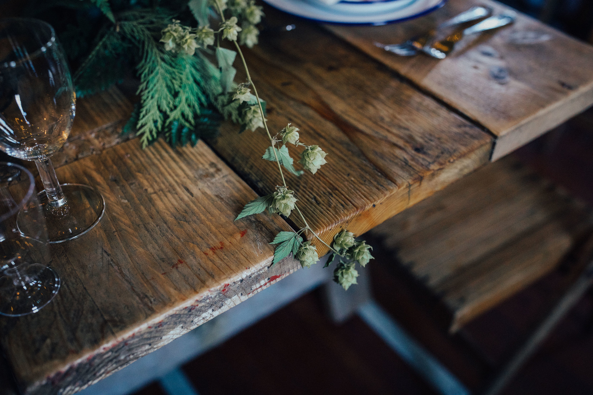 LOCH_GARTEN_DIY_WEDDING_PJ_PHILLIPS_PHOTOGRAPHY_23.jpg