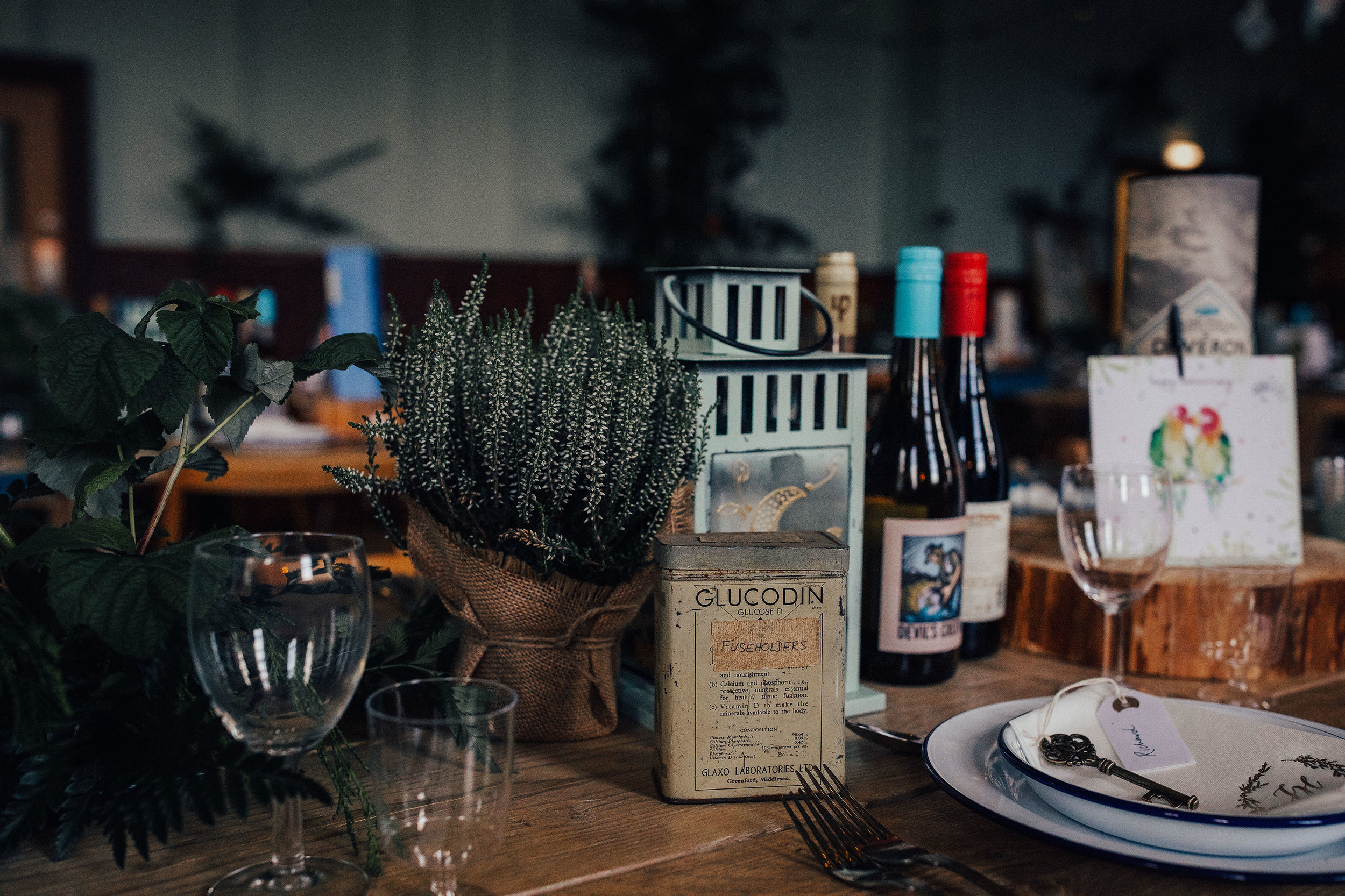 LOCH_GARTEN_DIY_WEDDING_PJ_PHILLIPS_PHOTOGRAPHY_27.jpg