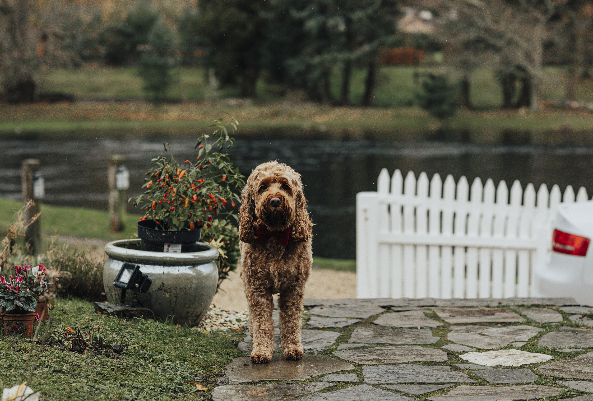 BALLINTAGGART_FARM_MICRO_WEDDING_PJ_PHILLIPS_PHOTOGRAPHY_32.jpg