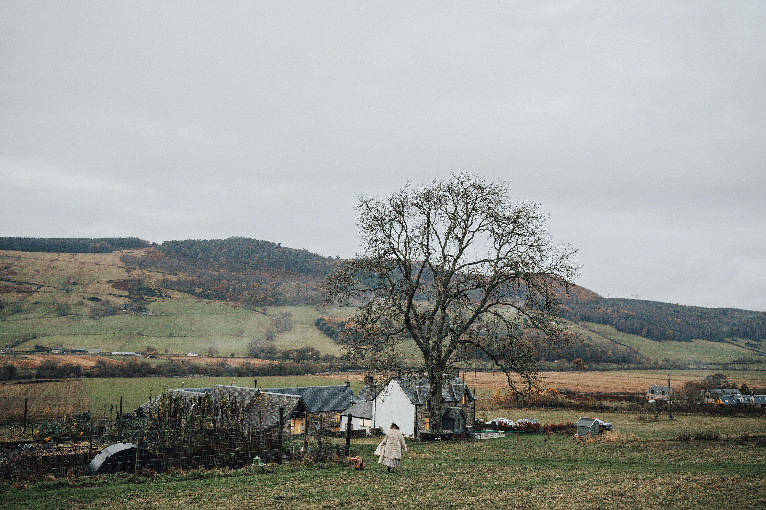 BALLINTAGGART_FARM_MICRO_WEDDING_PJ_PHILLIPS_PHOTOGRAPHY_133.jpg