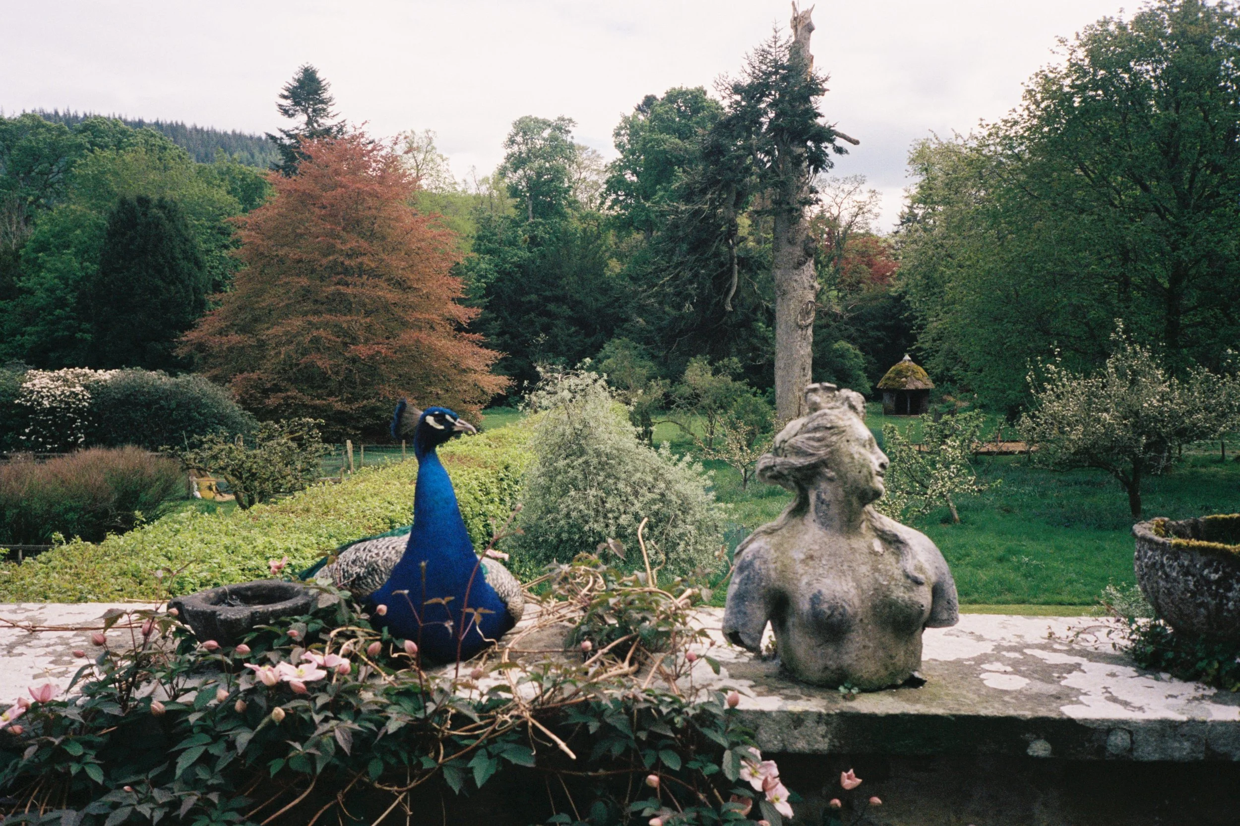 FILM_ANALOG_WEDDING_PHOTOGRAPHY 90.JPG