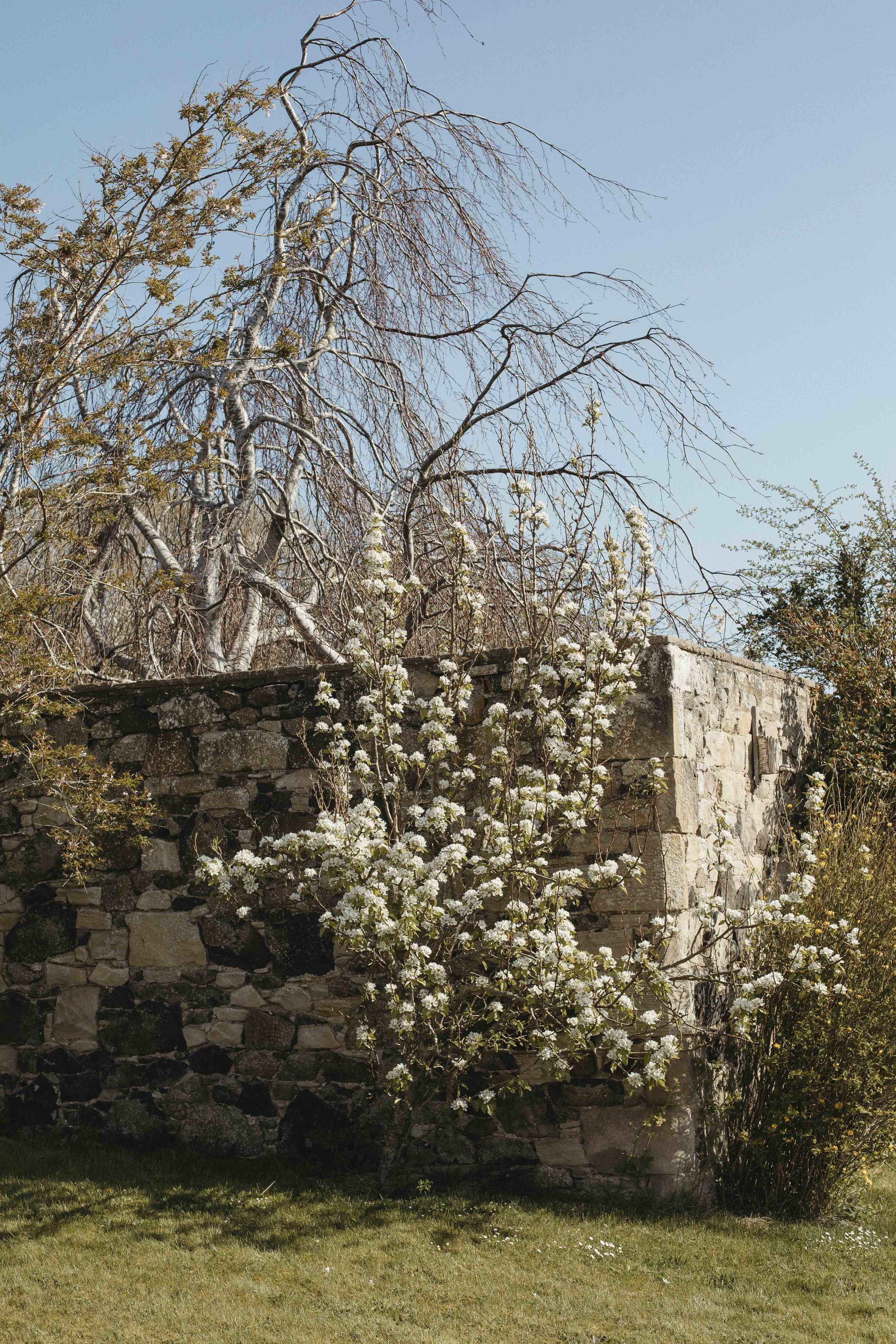 SCOTTISH_WEDDING_PHOTOGRAPHER_BORDERS_WEDDING 15.jpg