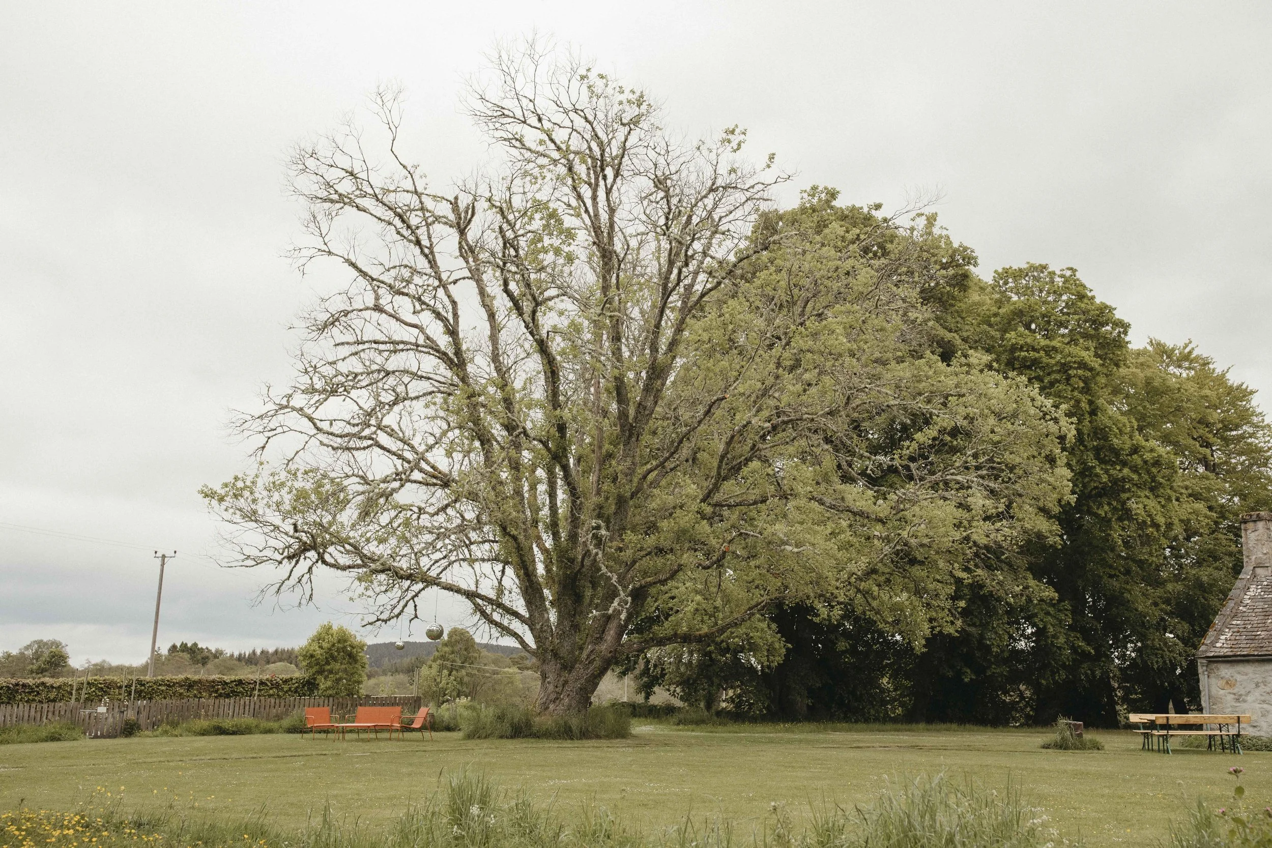 DELL_OF_ABERNETHY_WEDDING_PHOTOGRAPHY 2.jpg