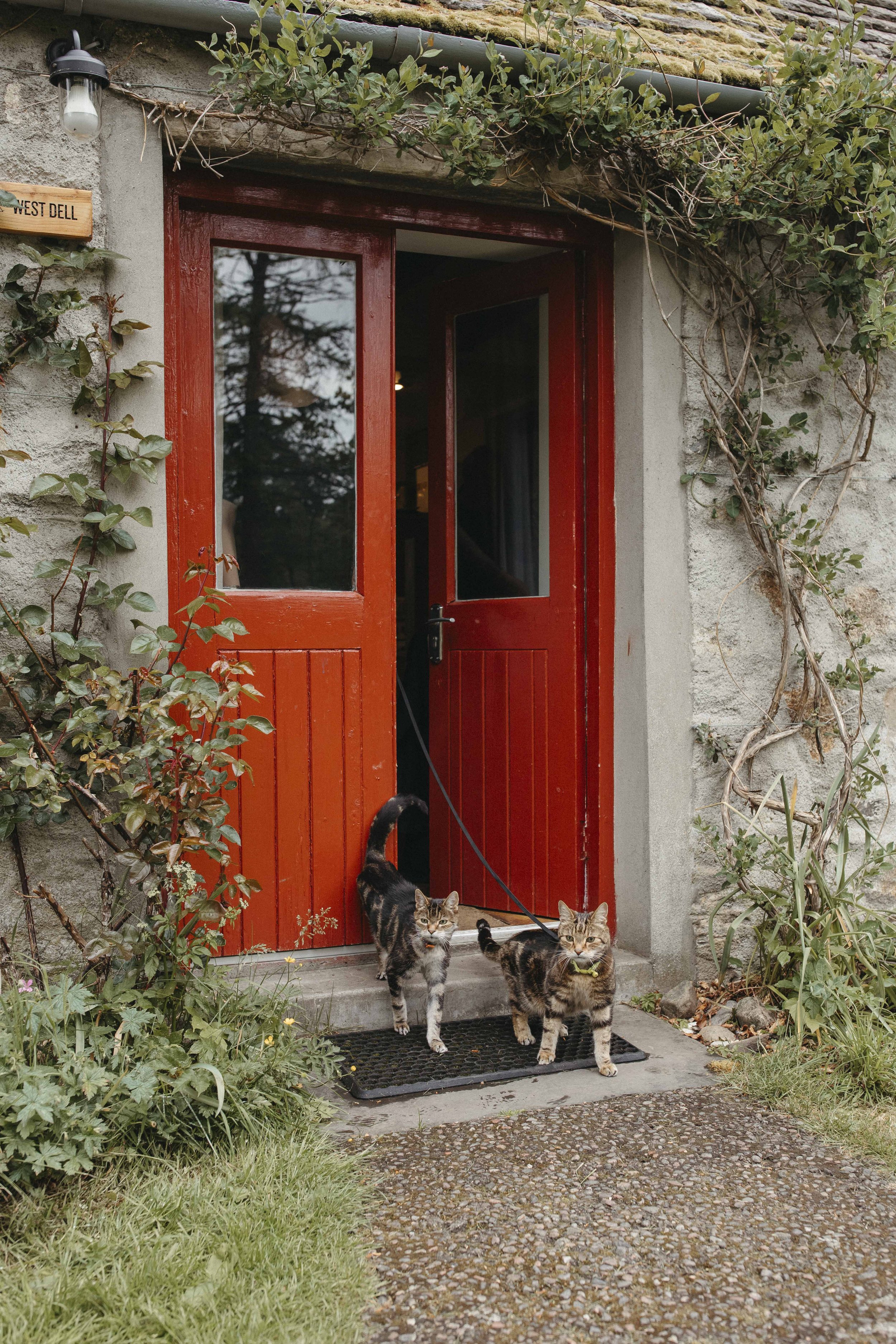 DELL_OF_ABERNETHY_WEDDING_PHOTOGRAPHY 11.jpg