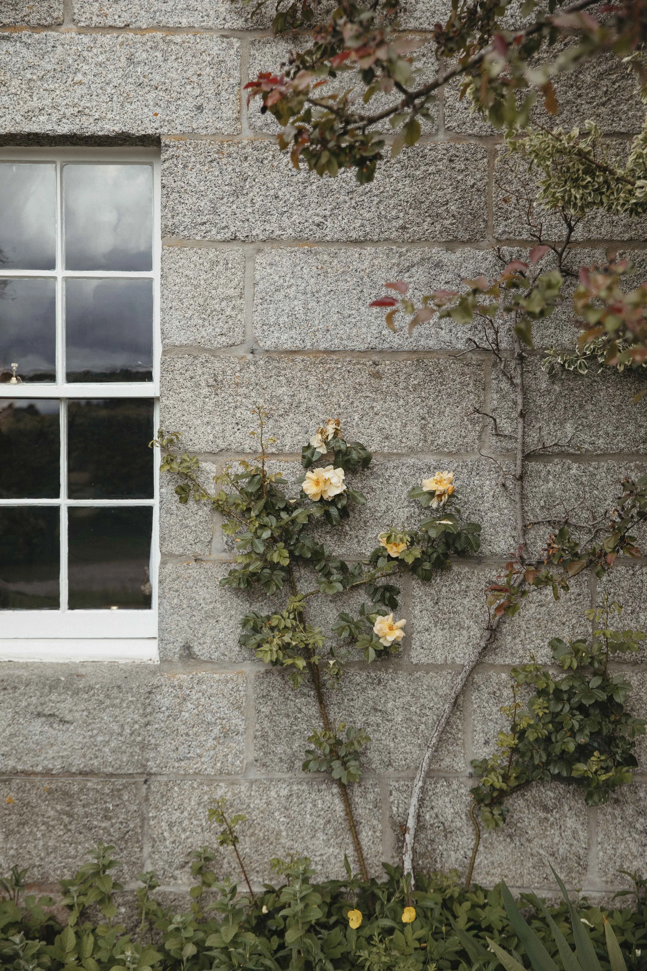 DELL_OF_ABERNETHY_WEDDING_PHOTOGRAPHY 15.jpg