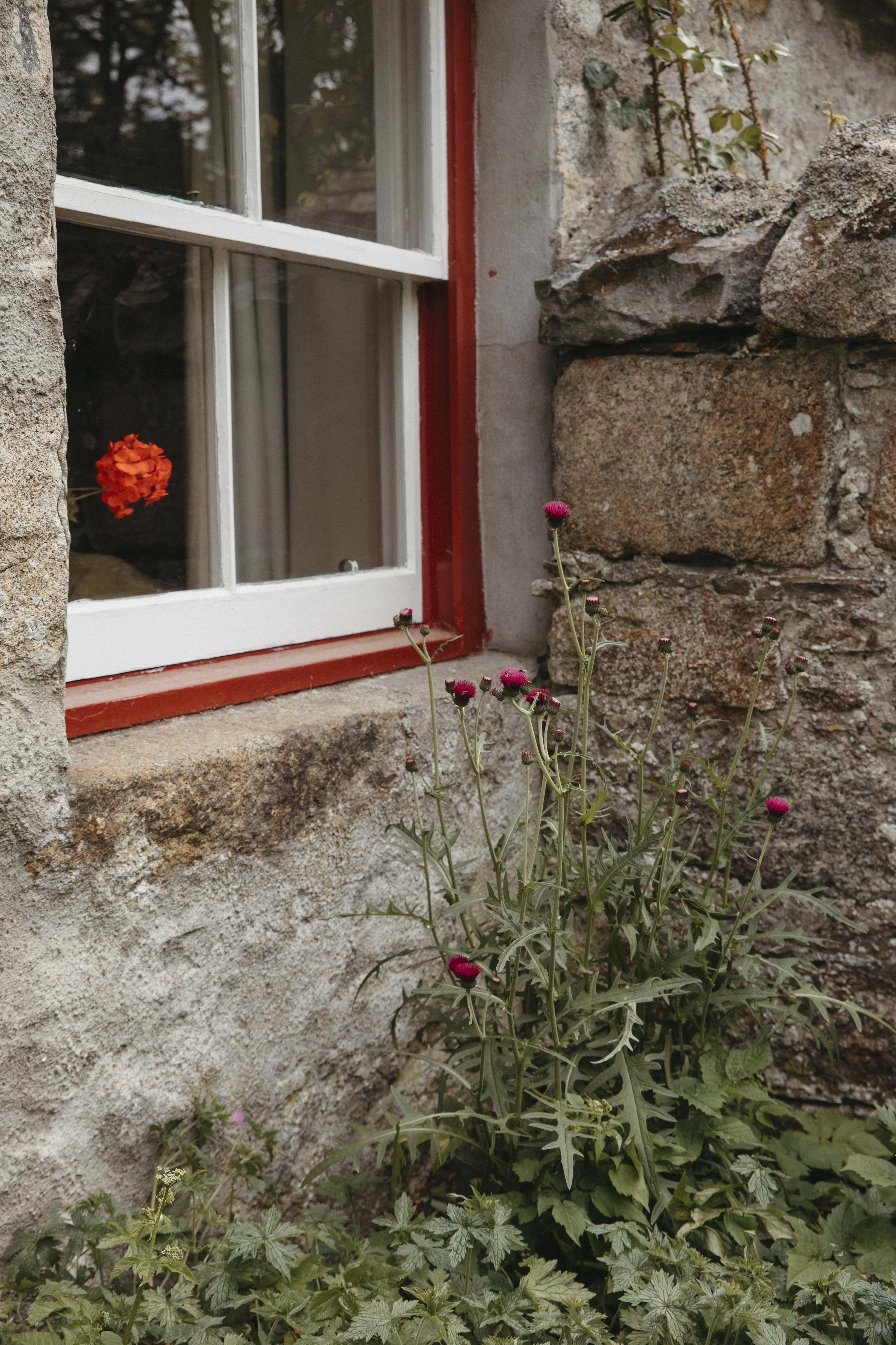 DELL_OF_ABERNETHY_WEDDING_PHOTOGRAPHY 36.jpg