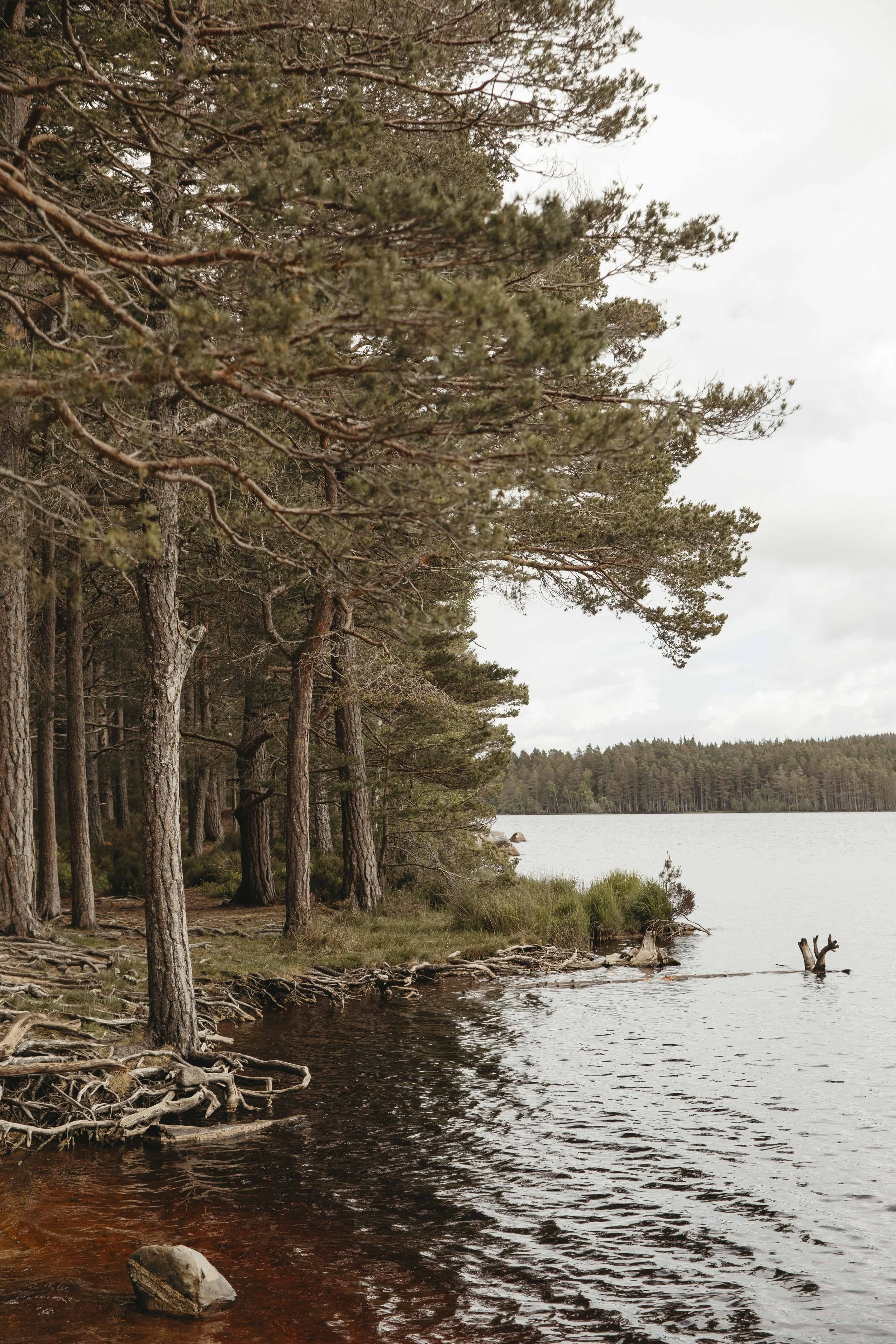 DELL_OF_ABERNETHY_WEDDING_PHOTOGRAPHY 55.jpg