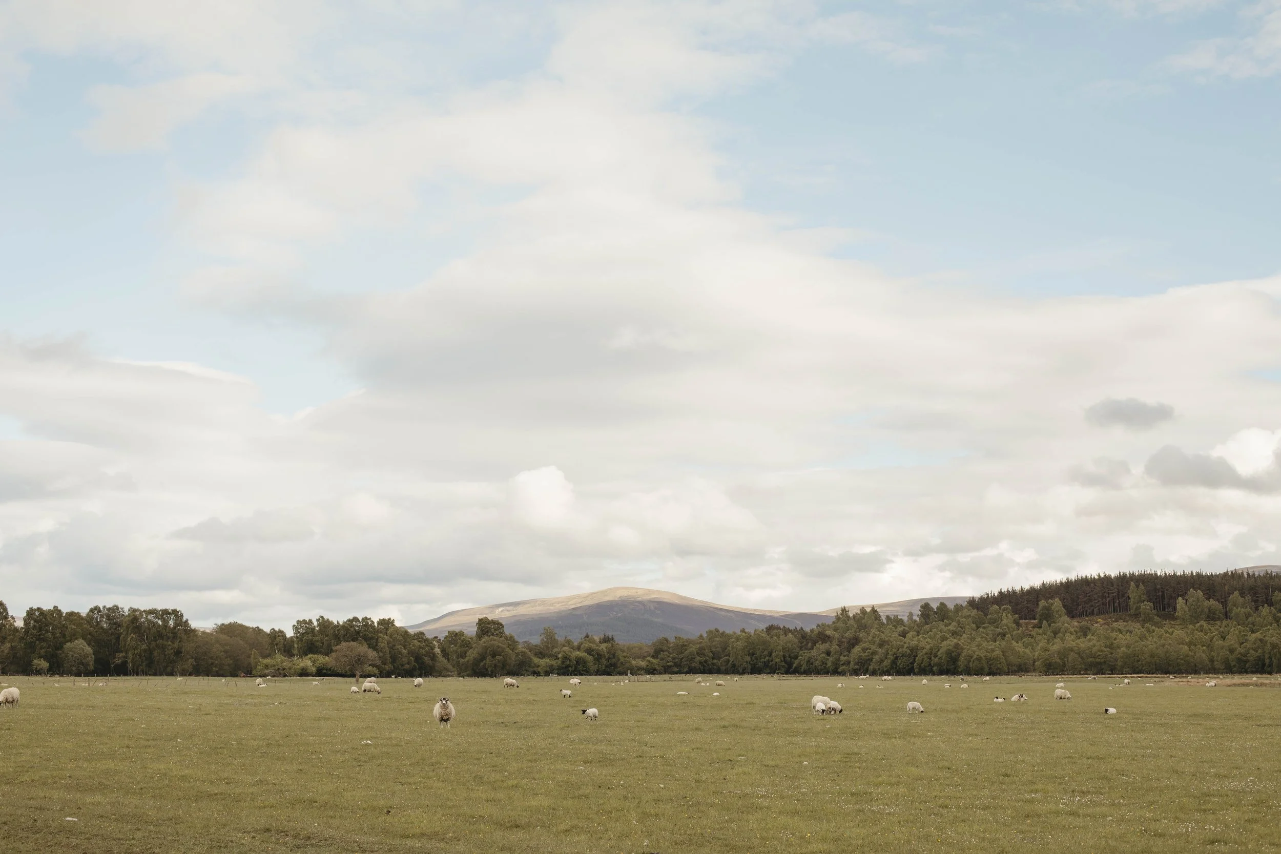 DELL_OF_ABERNETHY_WEDDING_PHOTOGRAPHY 201.jpg