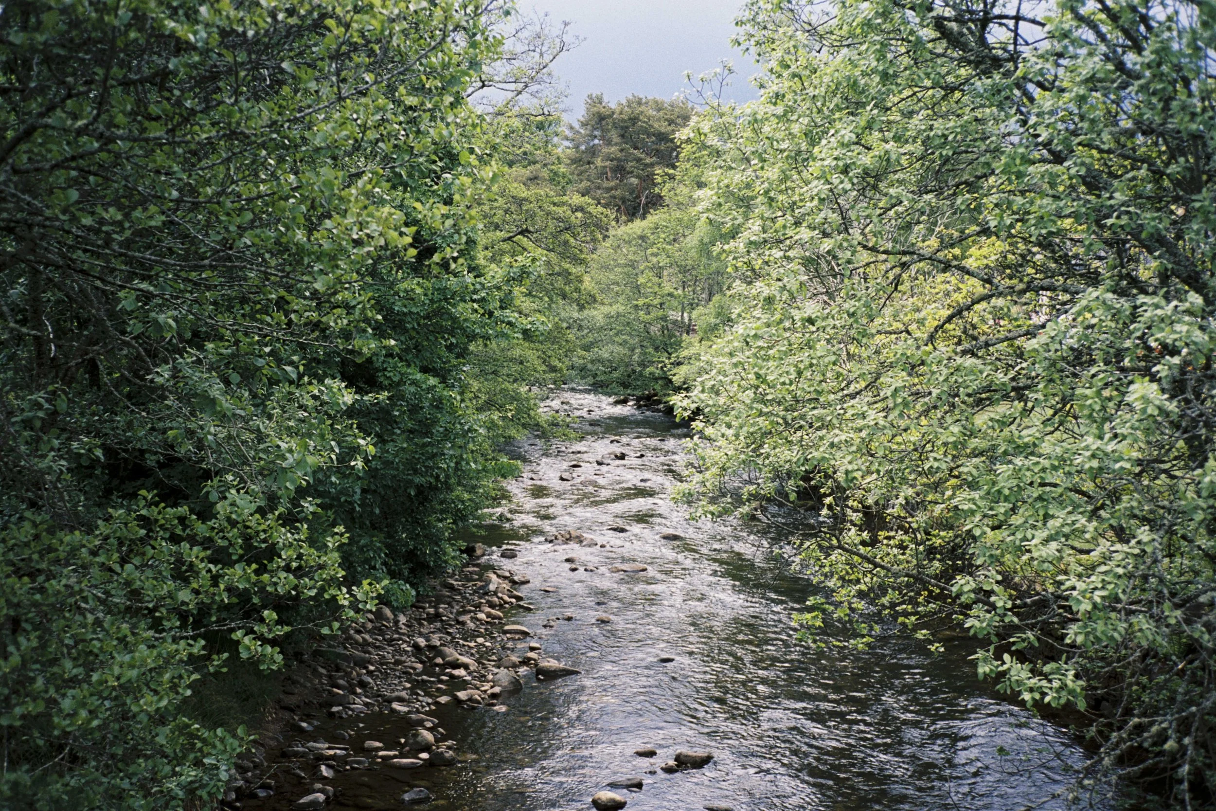 DELL_OF_ABERNETHY_WEDDING_PHOTOGRAPHY 245.jpg