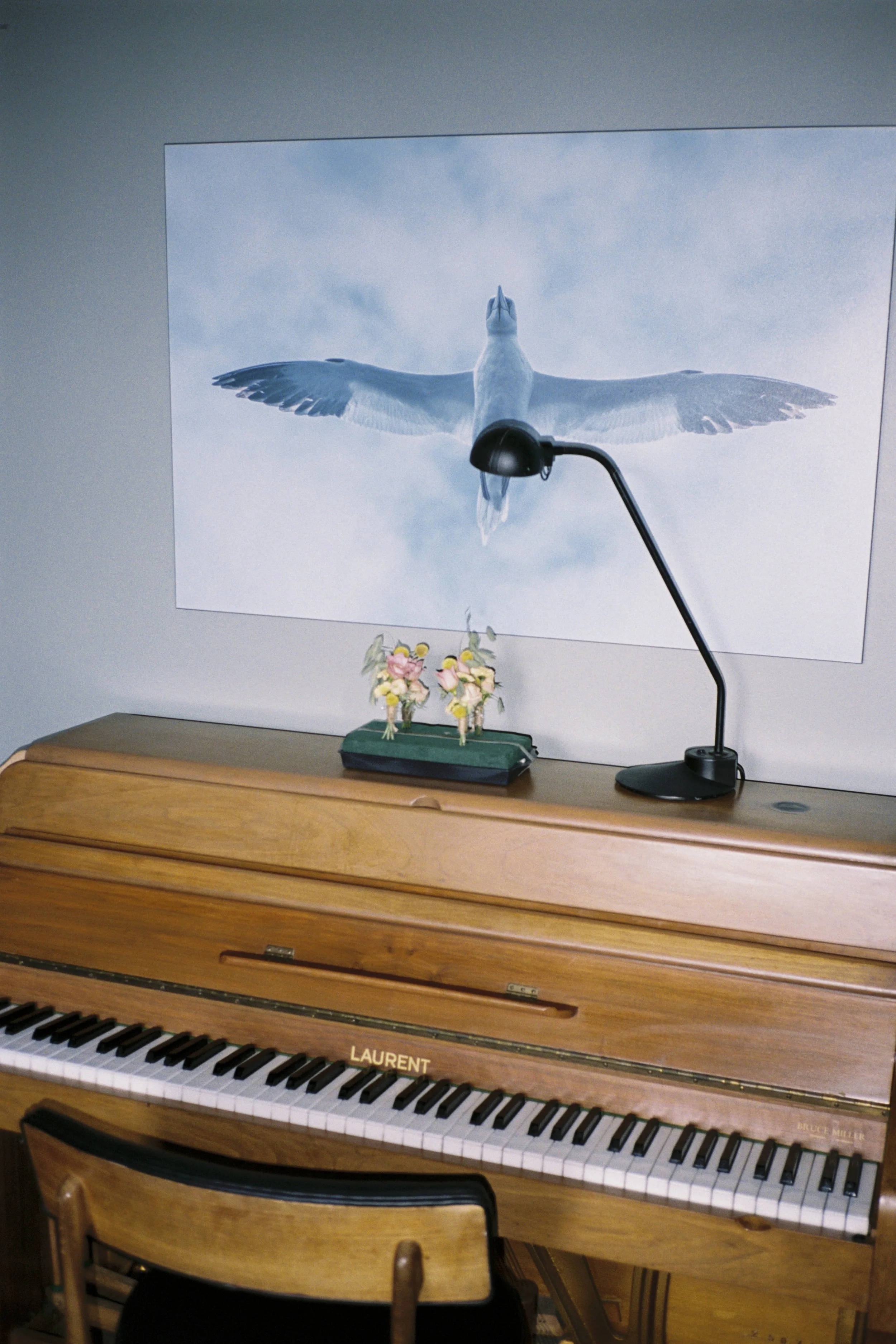 DELL_OF_ABERNETHY_WEDDING_PHOTOGRAPHY 253.jpg