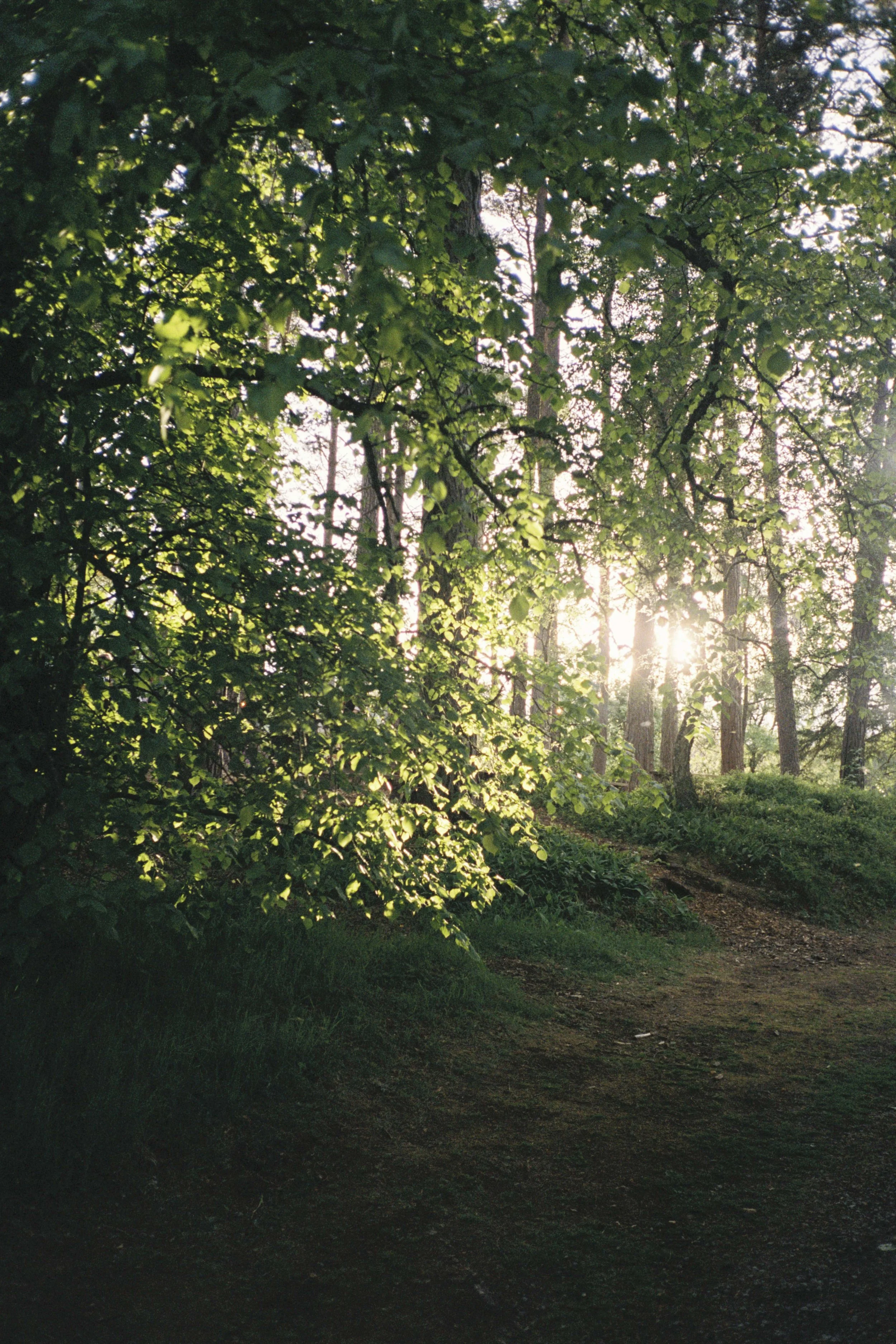 DELL_OF_ABERNETHY_WEDDING_PHOTOGRAPHY 286.jpg
