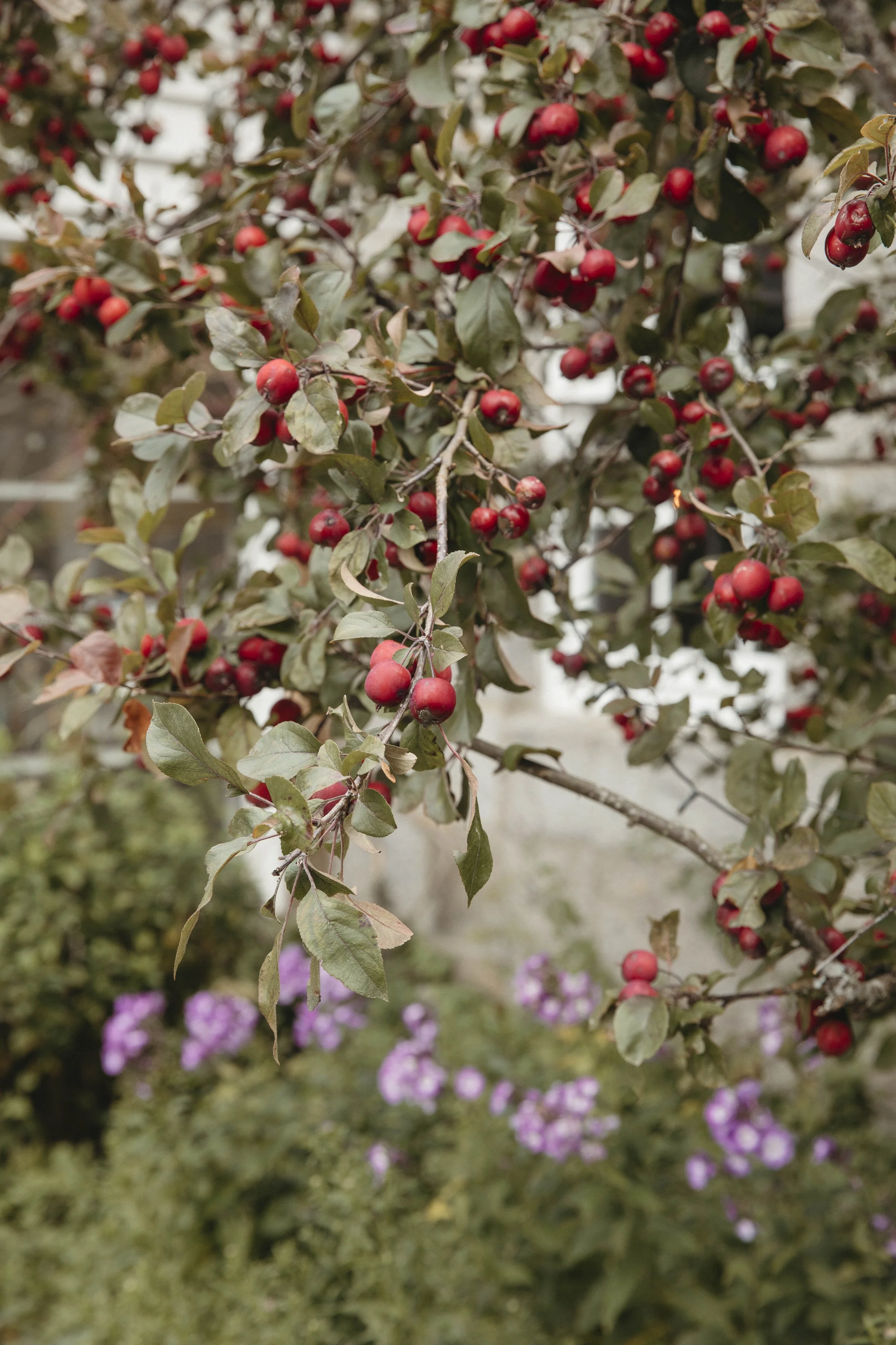 FILM_PHOTOGRAPHY_WEDDING_SCOTLAND 2.jpg