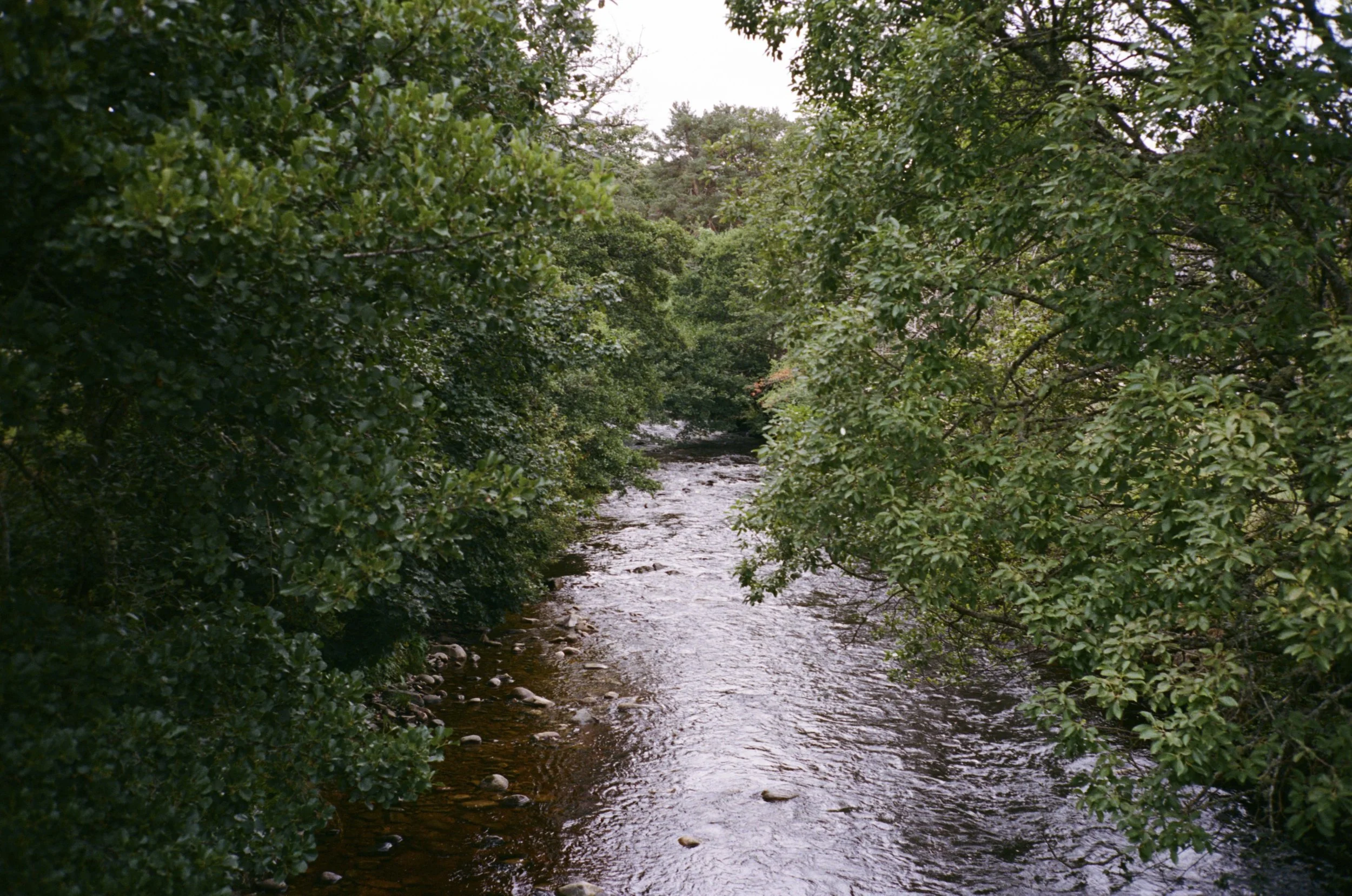 FILM_PHOTOGRAPHY_WEDDING_SCOTLAND 227.jpg