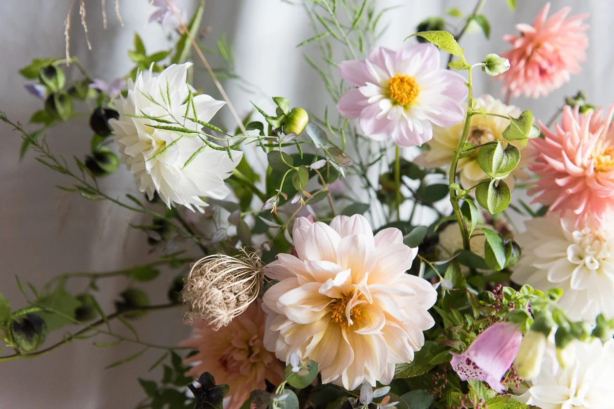 flowerproject_rachael_paula_jotennant066.jpg