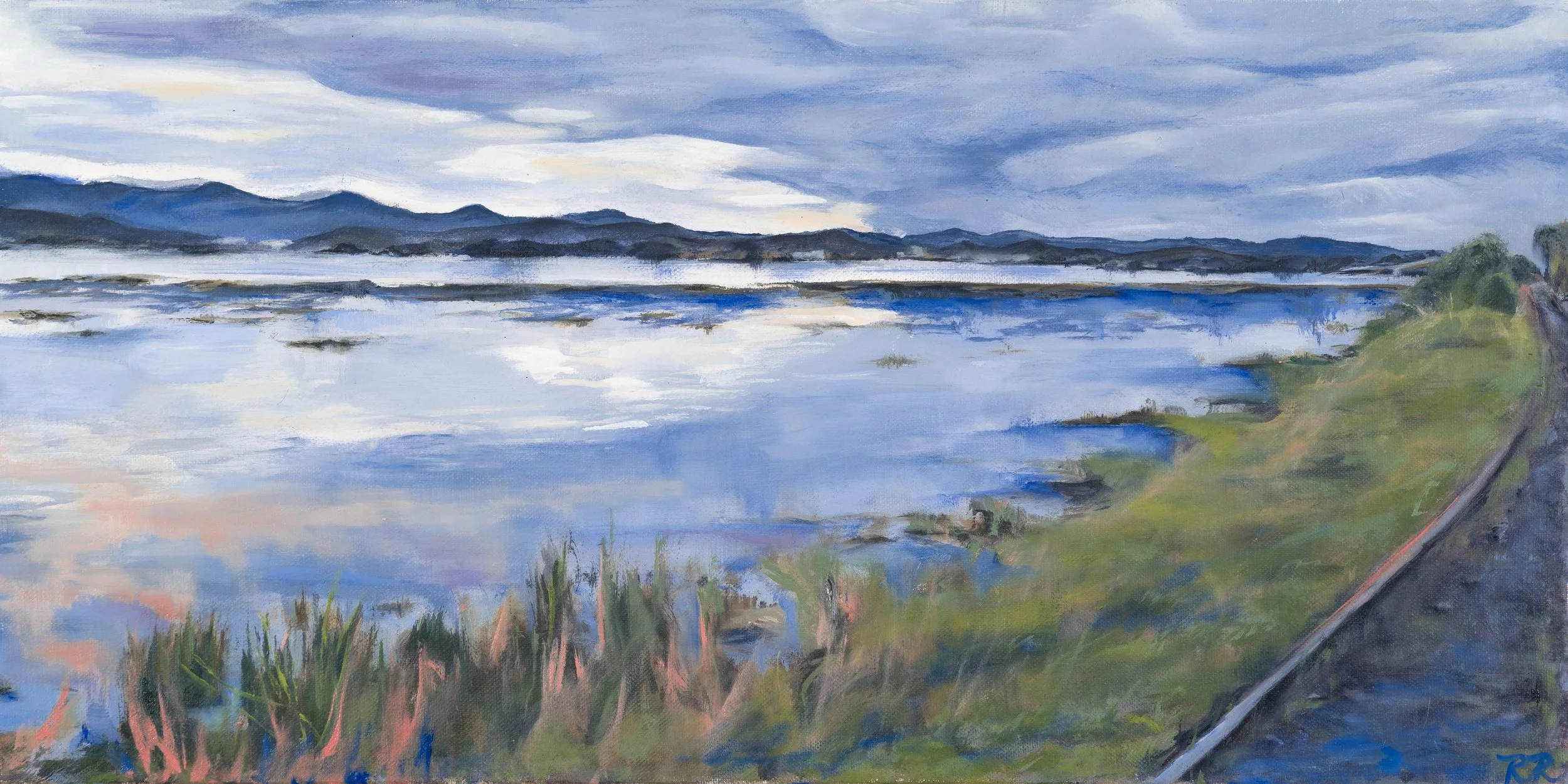 Humboldt Bay in January