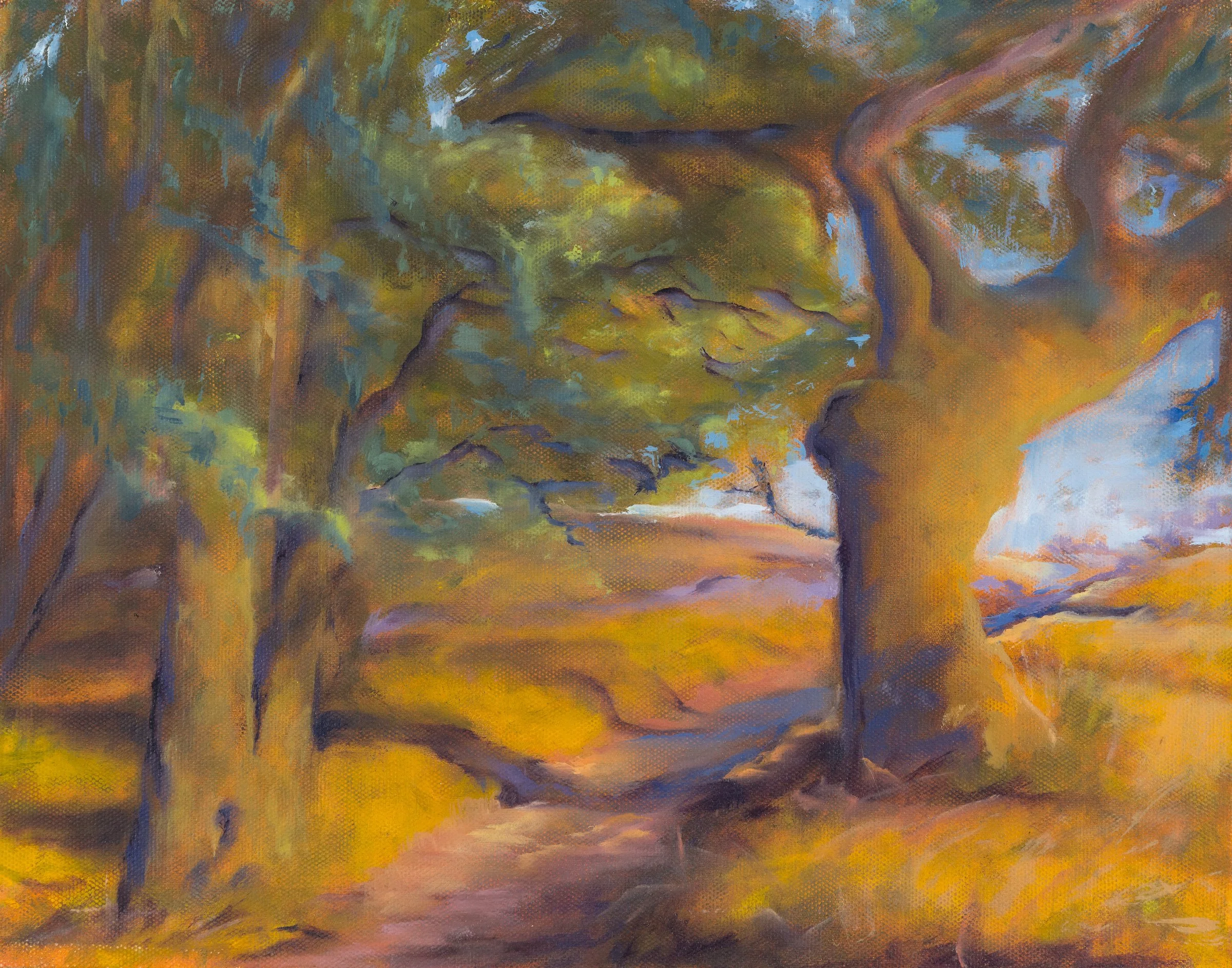 Palo Alto Foothills II