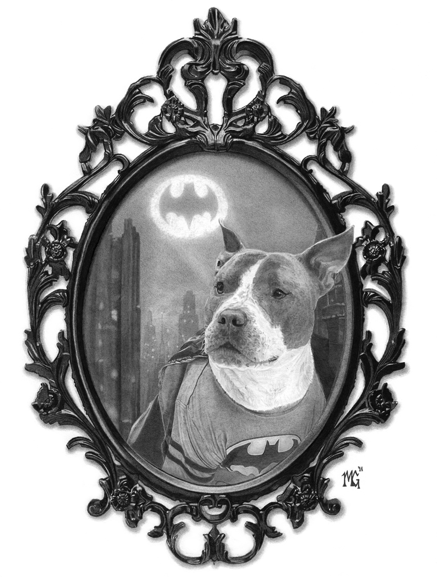 Batman the Pitbull