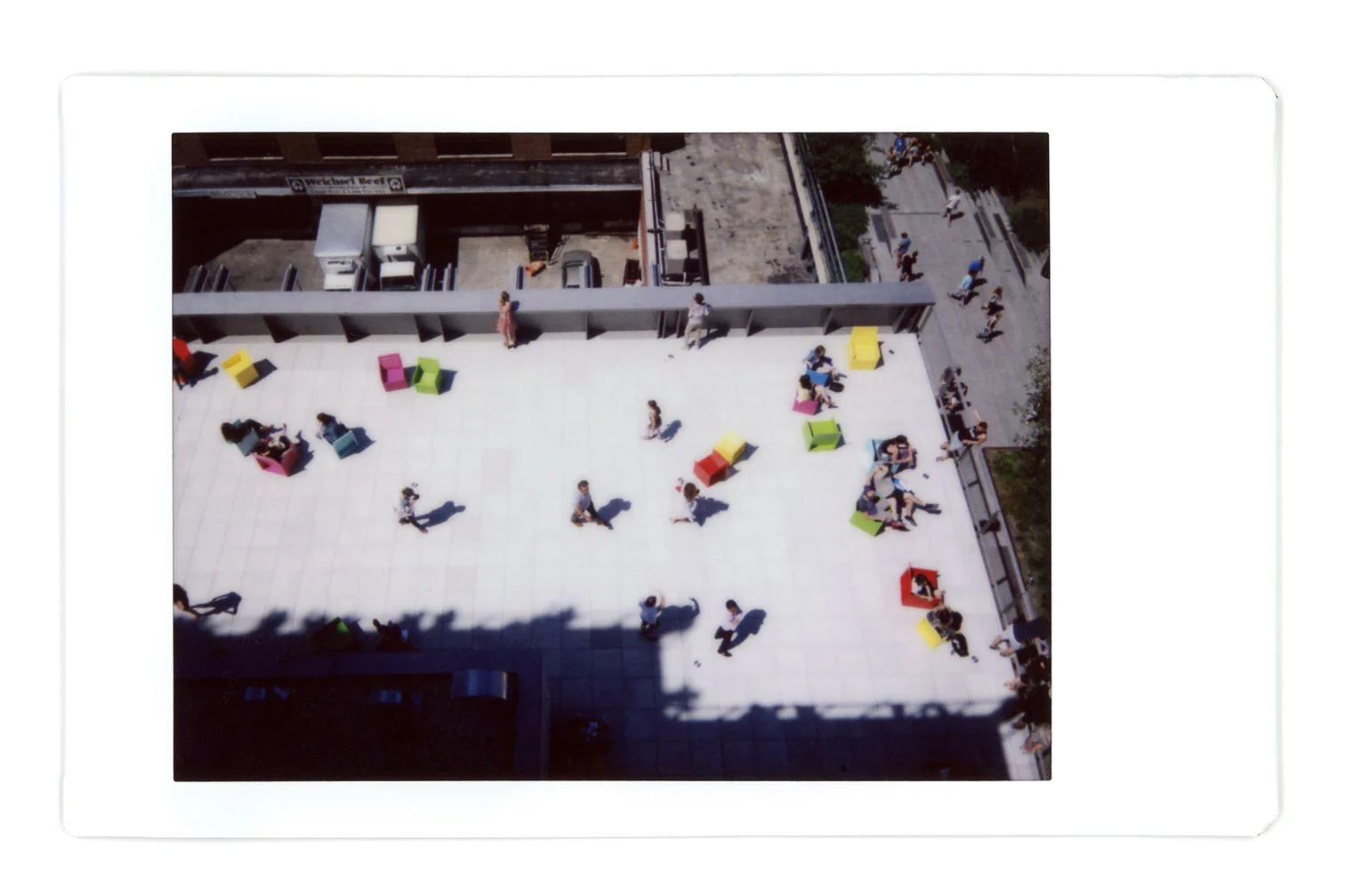 AMP_Polaroids_01.jpg