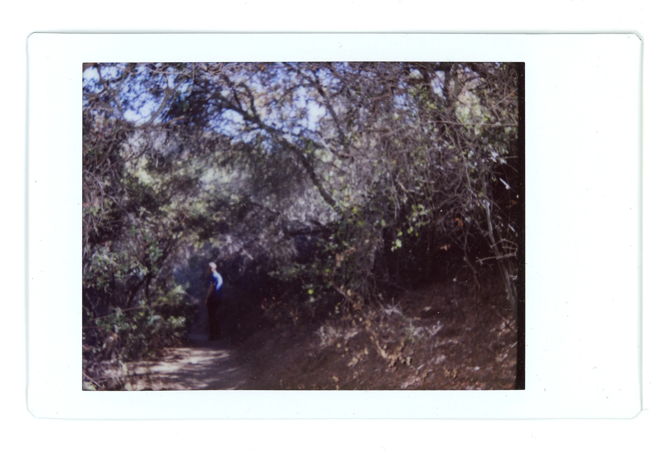 AMP_Polaroids_17.jpg