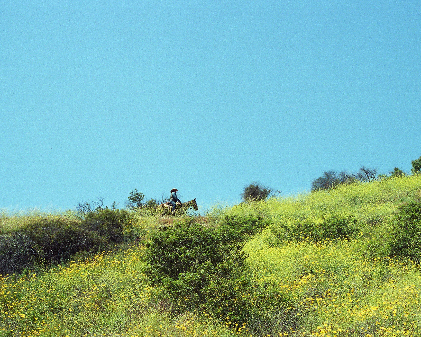Olympus_Roll1_025_crop.jpg