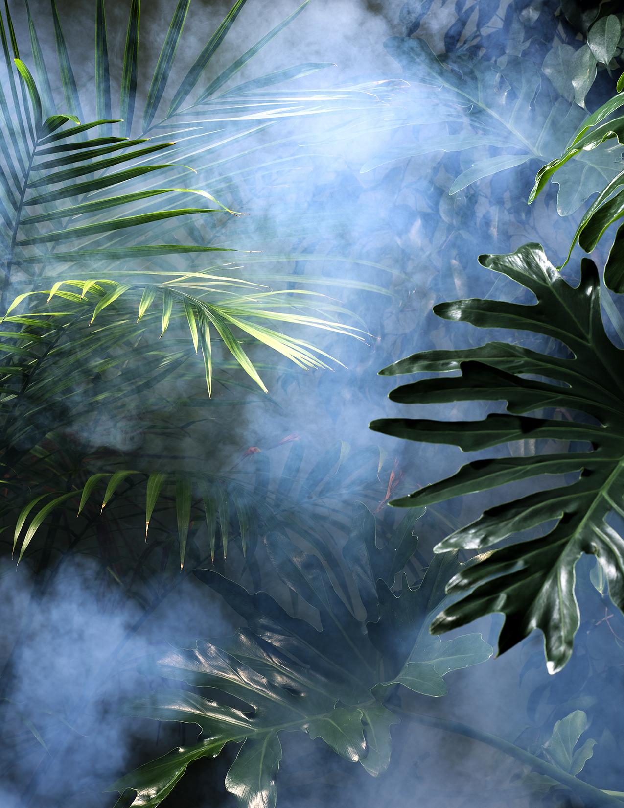 Amy_Pollution2_0215.jpg