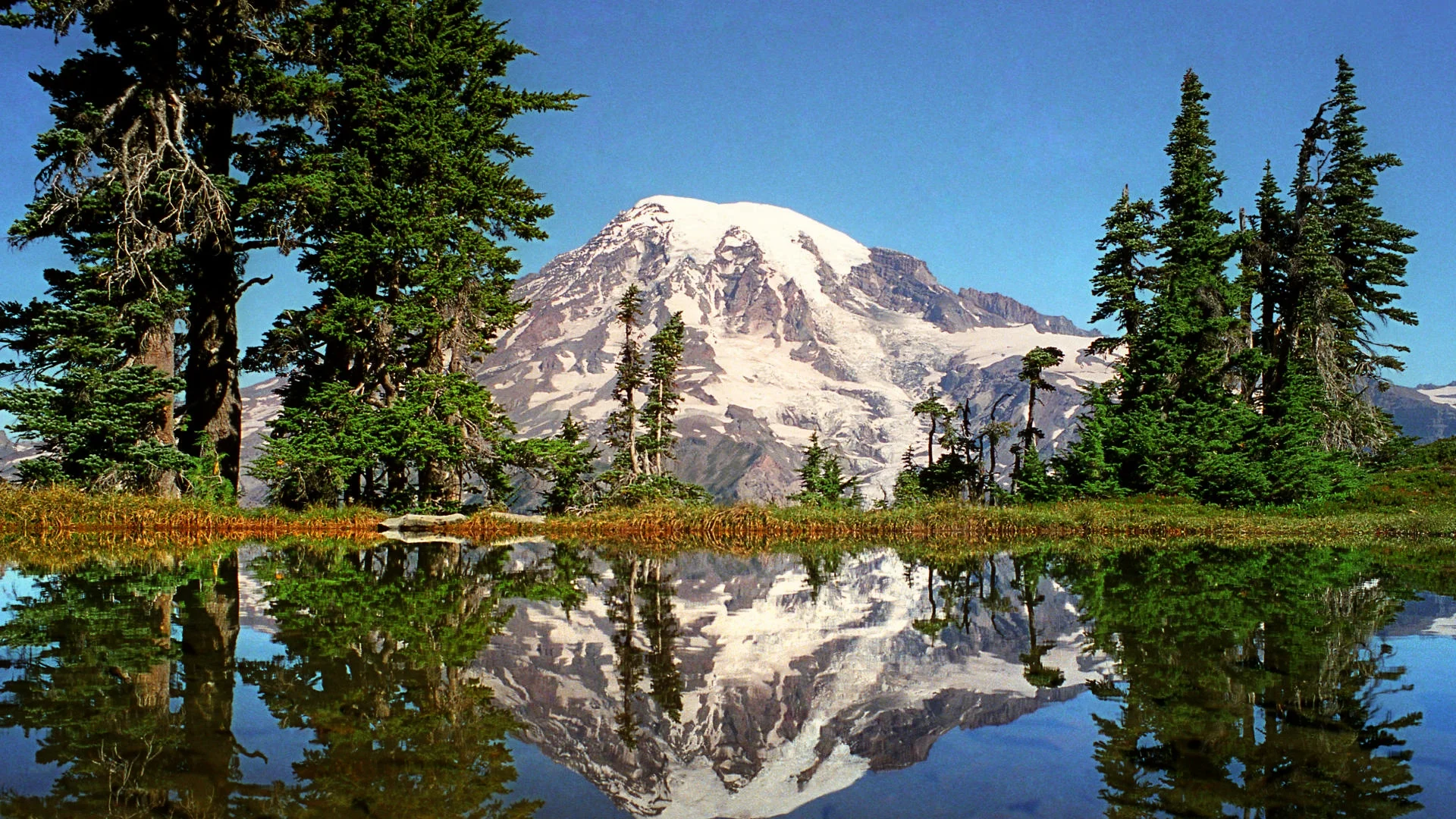 Mt Rainer.jpg