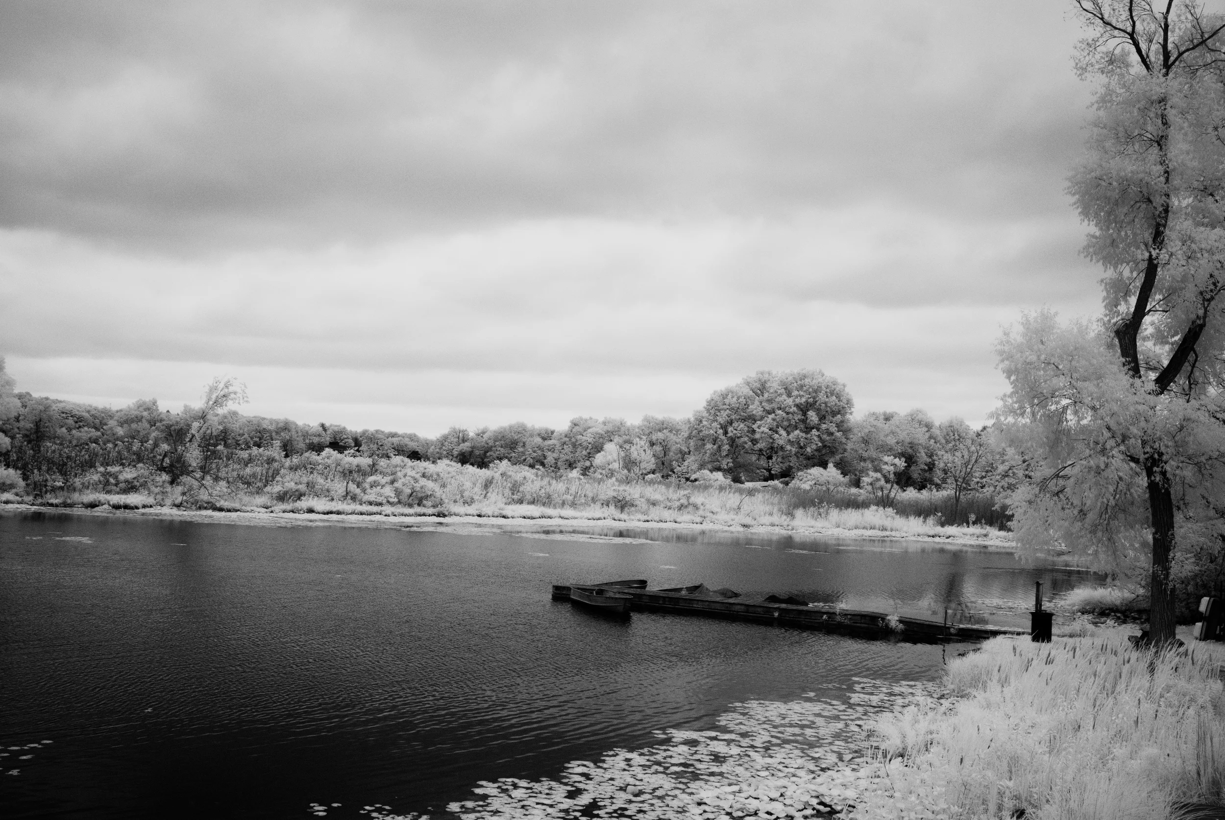 DSC_0083.jpg