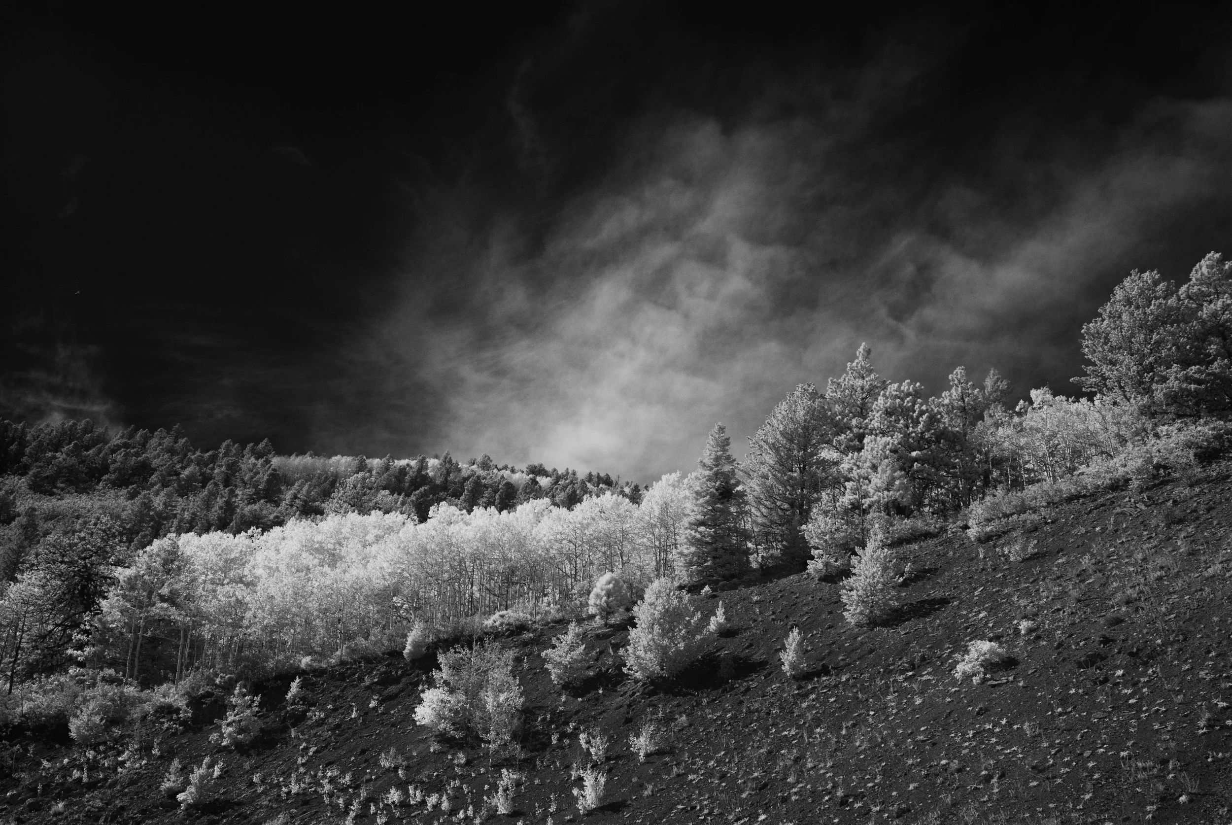 DSC_0205.jpg