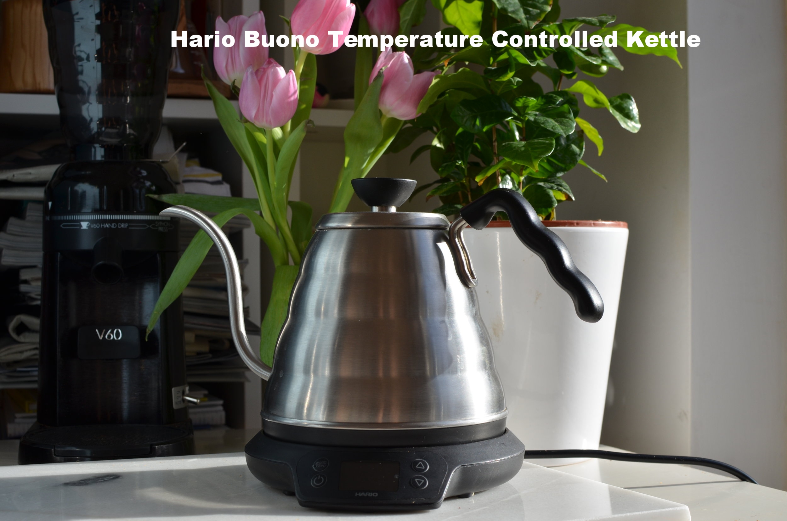 Hario Buono Temperature controlled Kettle — The Girl in the Cafe
