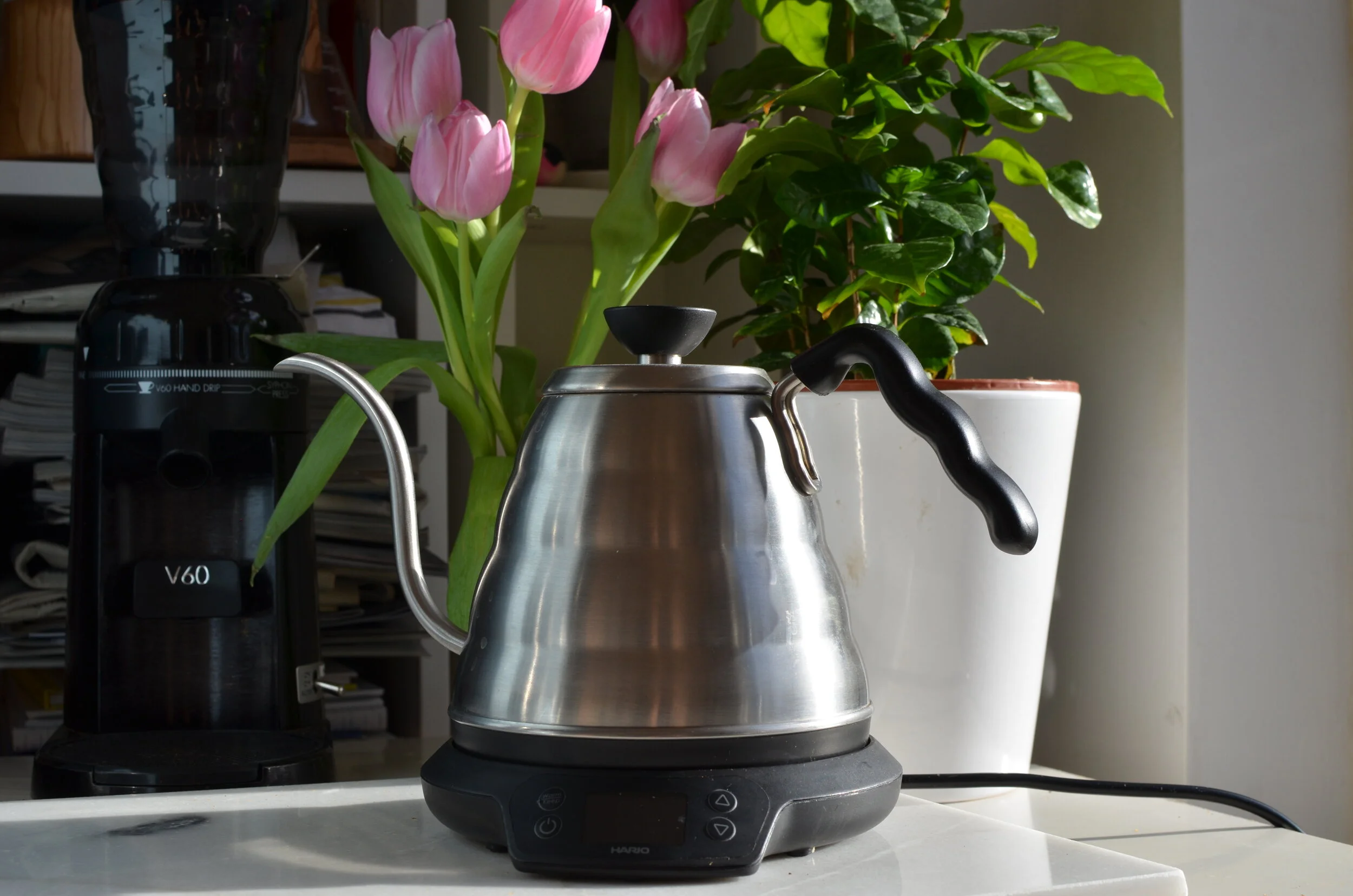 Hario V60 Buono Temperature Controlled Pourover Gooseneck Kettle review