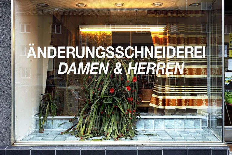 Schaufenster II (2013)