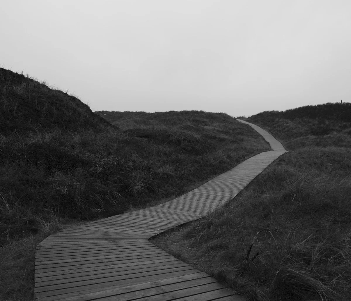 Spiekeroog IX (2024)