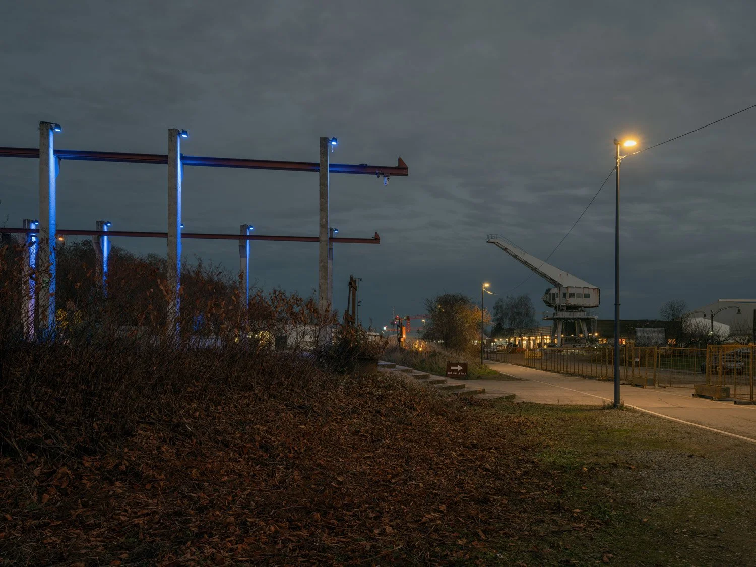 Köln-Vogelsang, Teichrohrsängerweg II (2025)