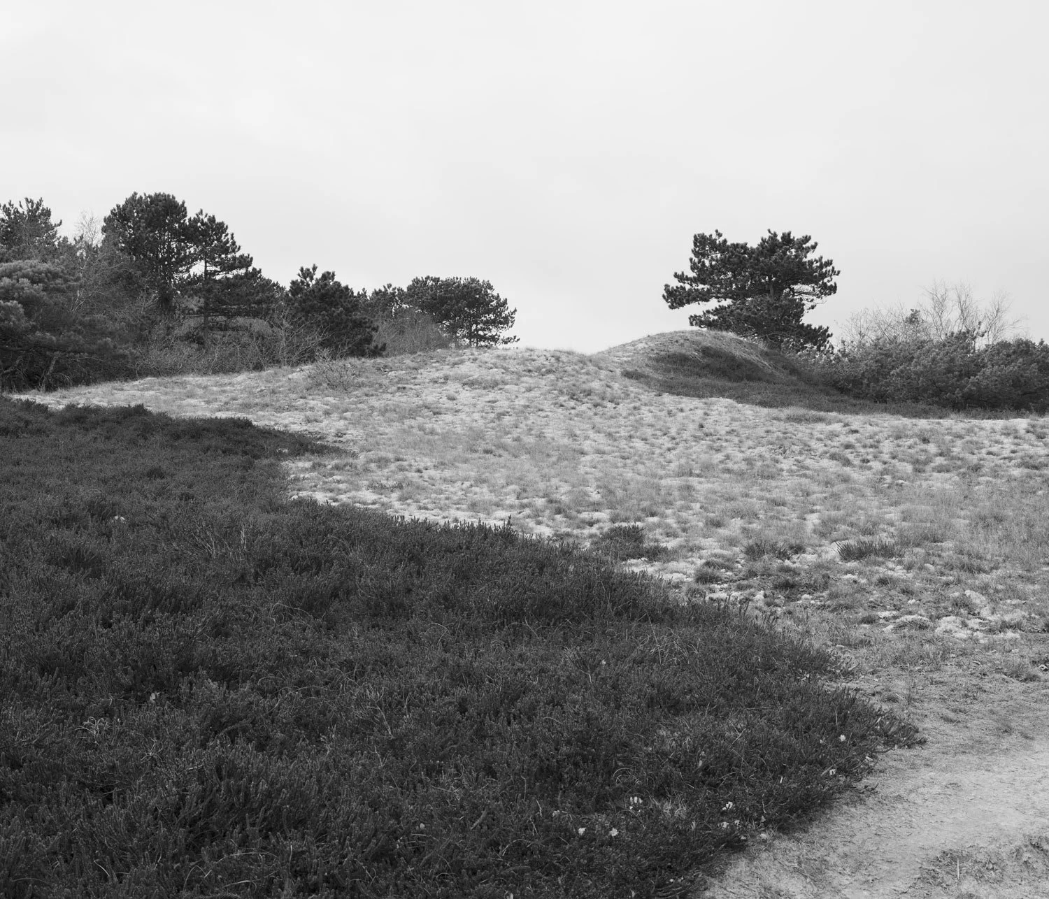 Spiekeroog XXII (2025)