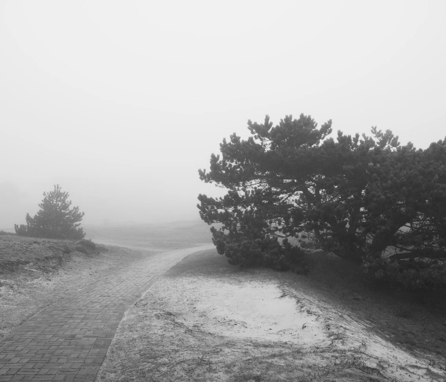 Spiekeroog XIV (2025)