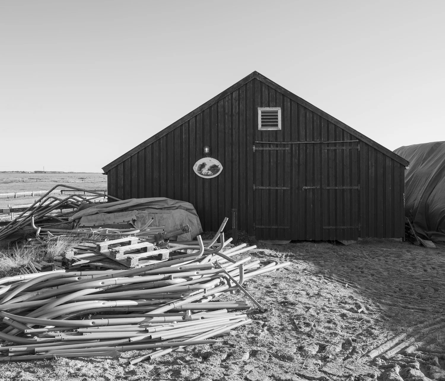 Spiekeroog XX (2025)