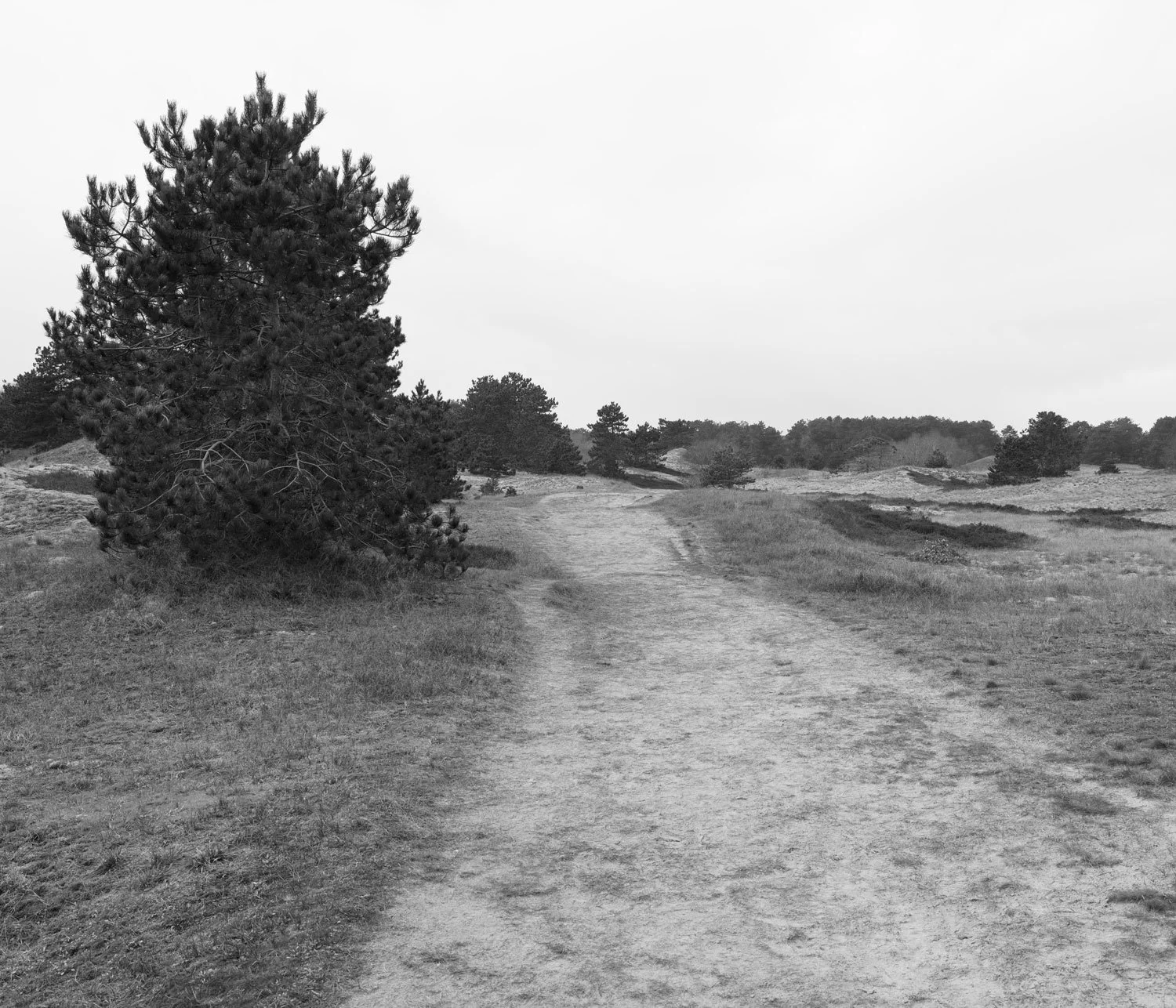 Spiekeroog XXIII (2025)