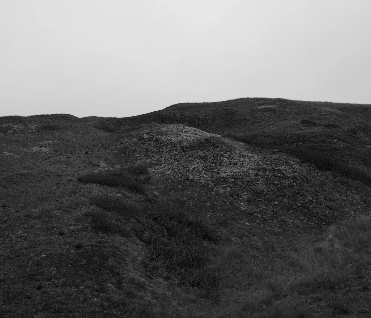 Spiekeroog XI (2024)