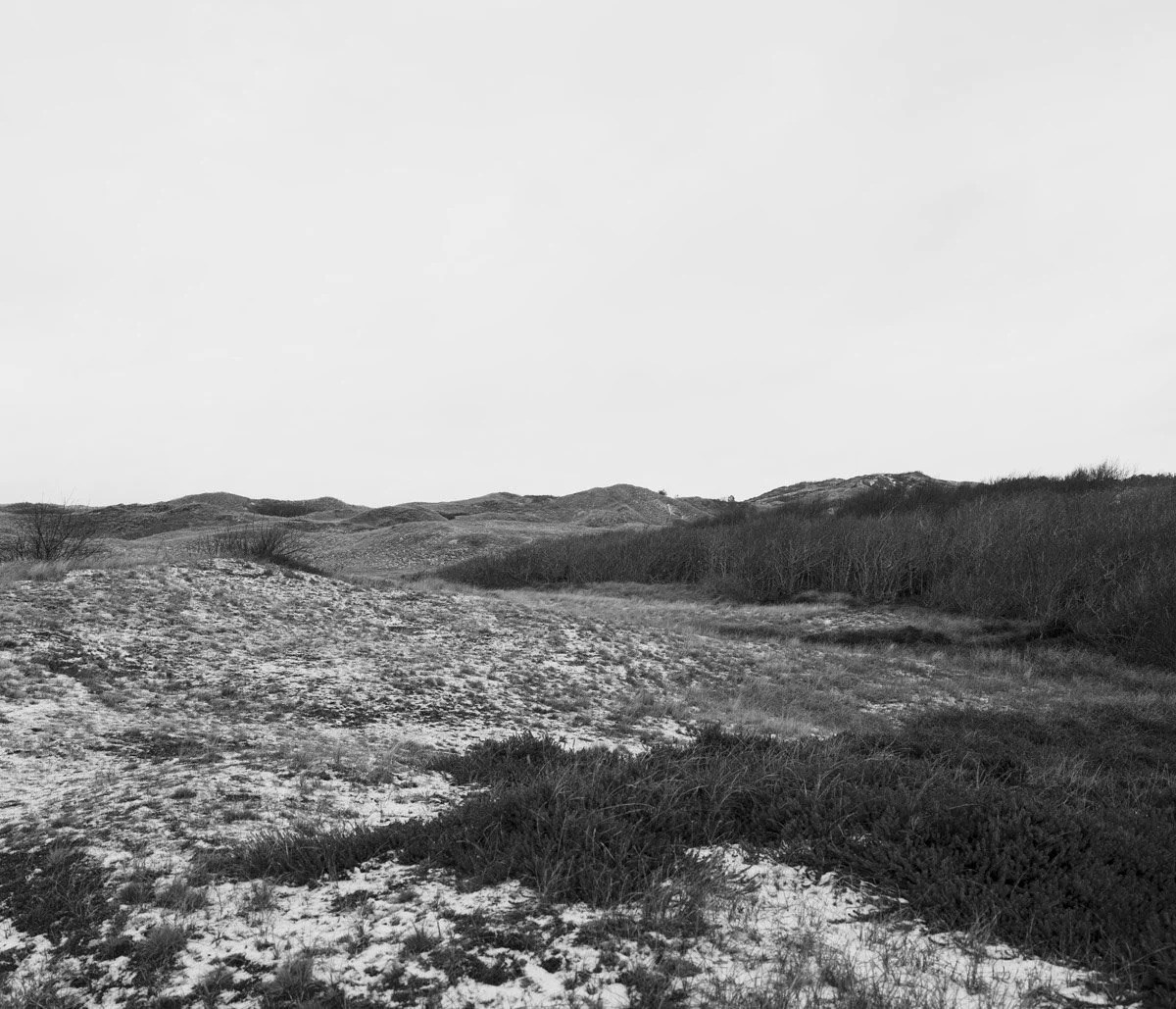 Spiekeroog XIII (2025)