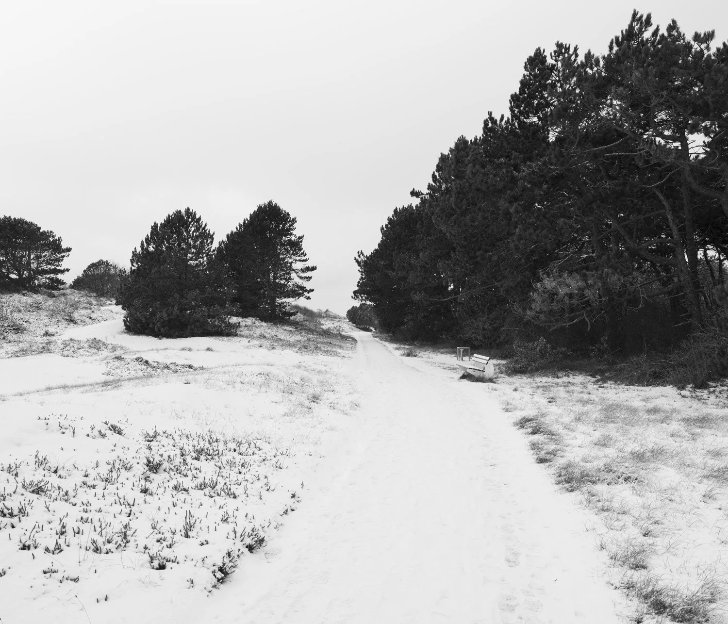 Spiekeroog XXX (2026)