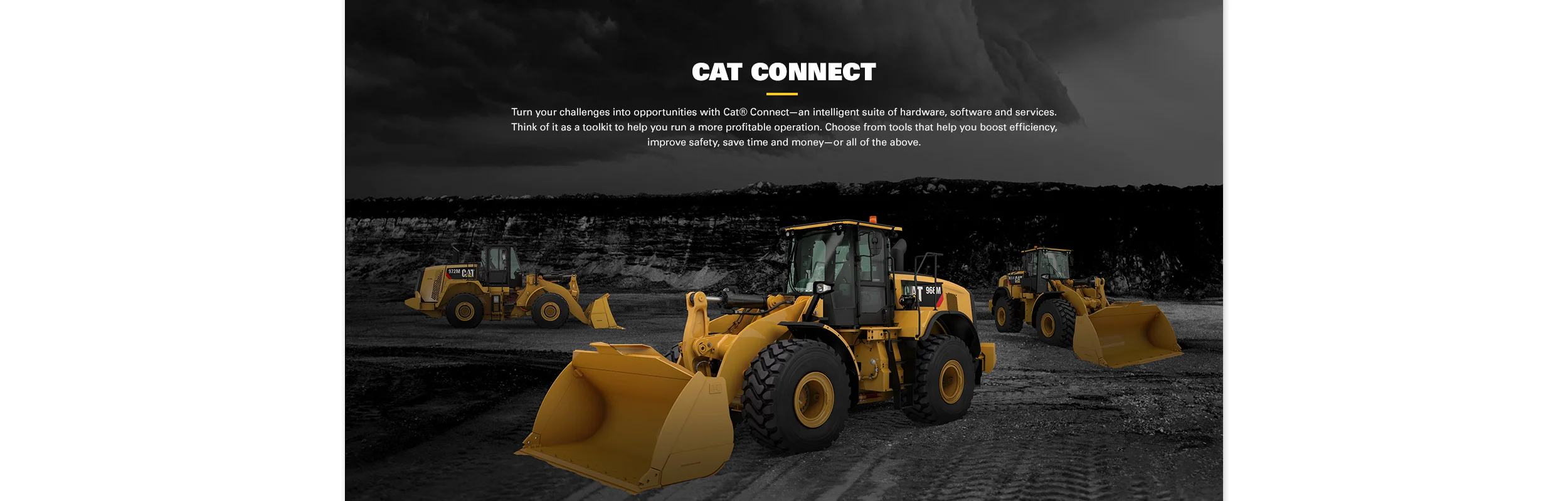 18_Desktop_Cat_Connect.jpg