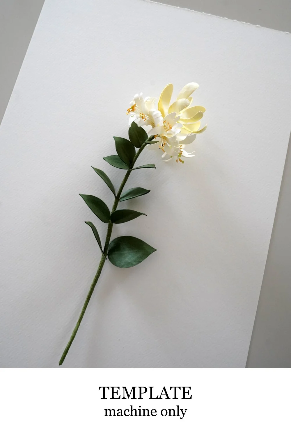 honeysuckle template.jpg