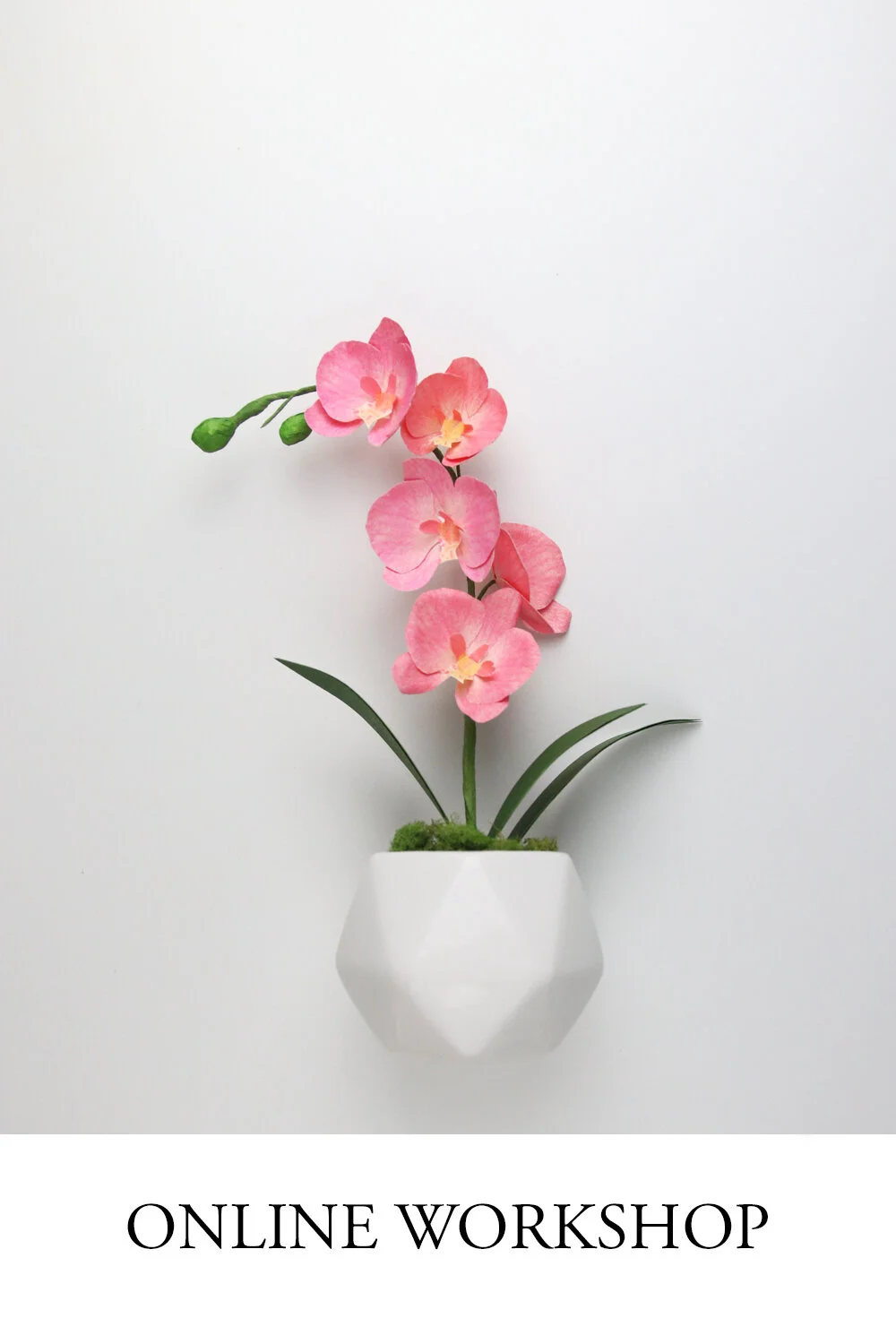 orchid2.jpg
